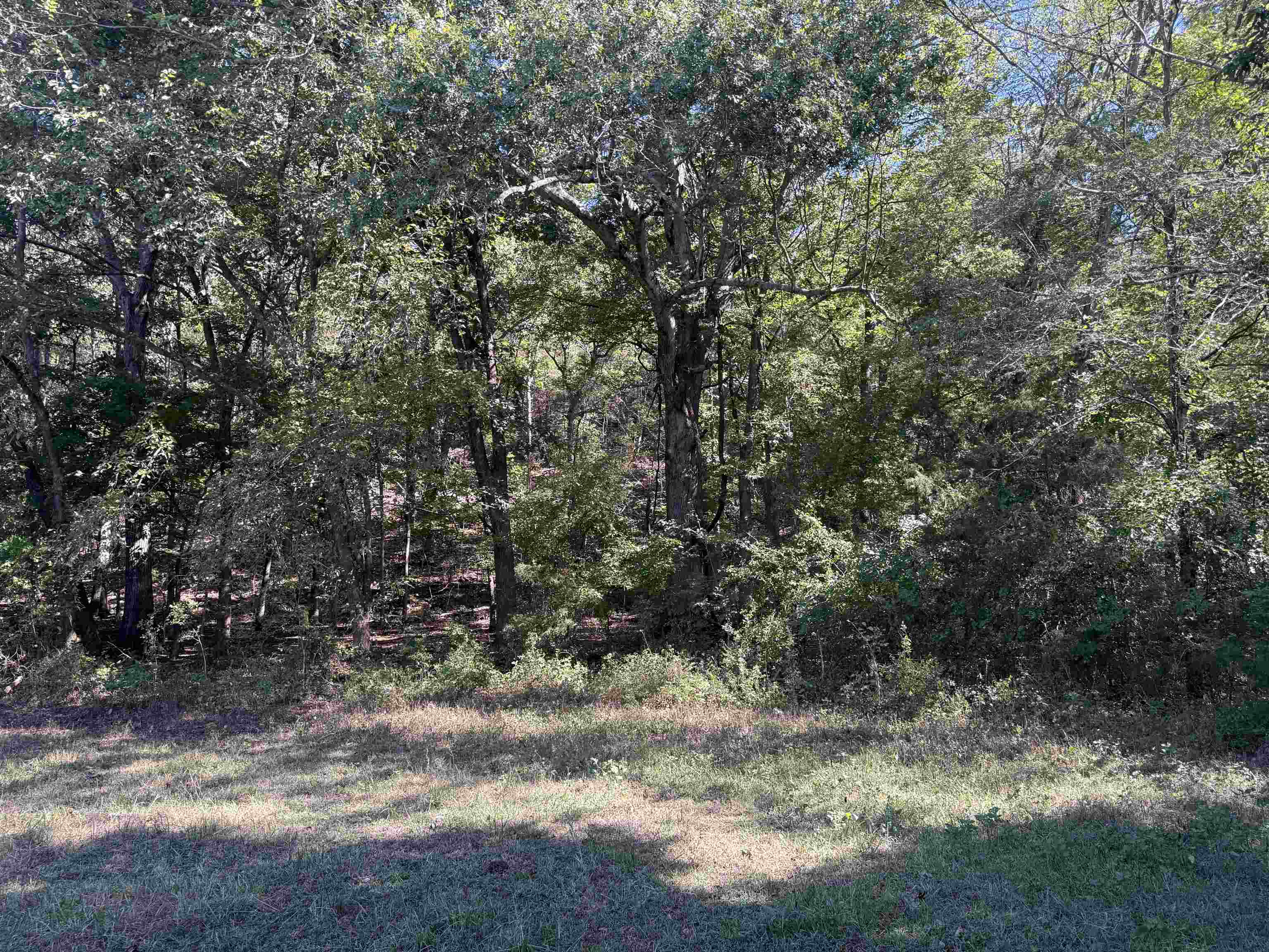 Photo 25 - Residential for sale – 217  Carpenter Road   Evening Shade, AR