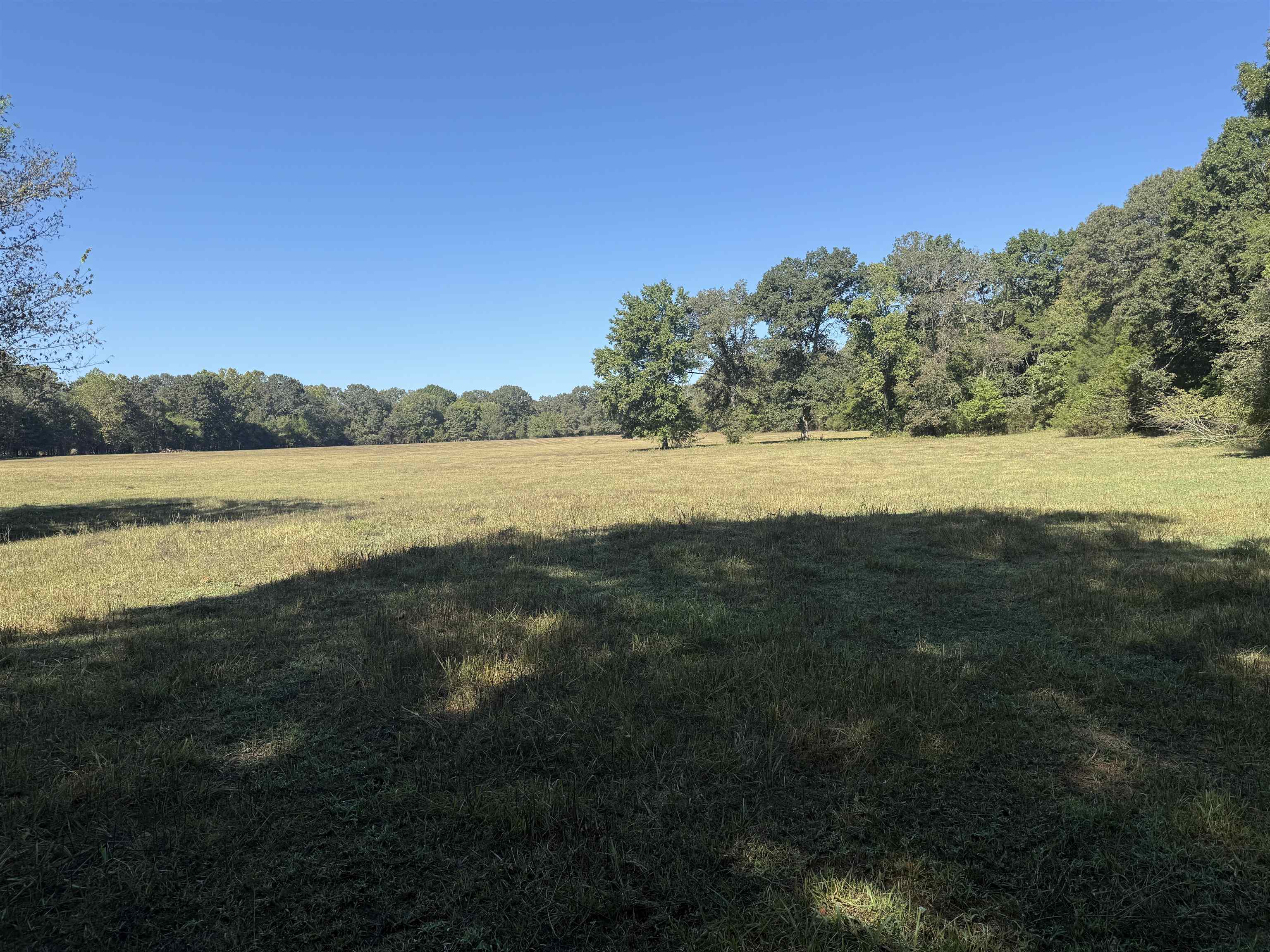 Photo 26 - Residential for sale – 217  Carpenter Road   Evening Shade, AR