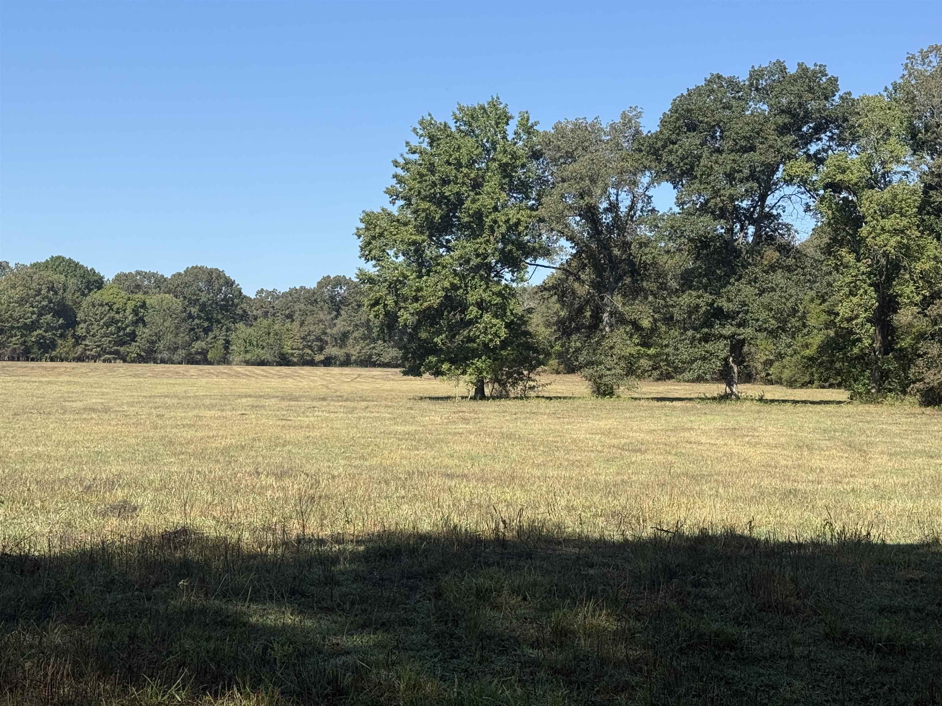 Photo 27 - Residential for sale – 217  Carpenter Road   Evening Shade, AR