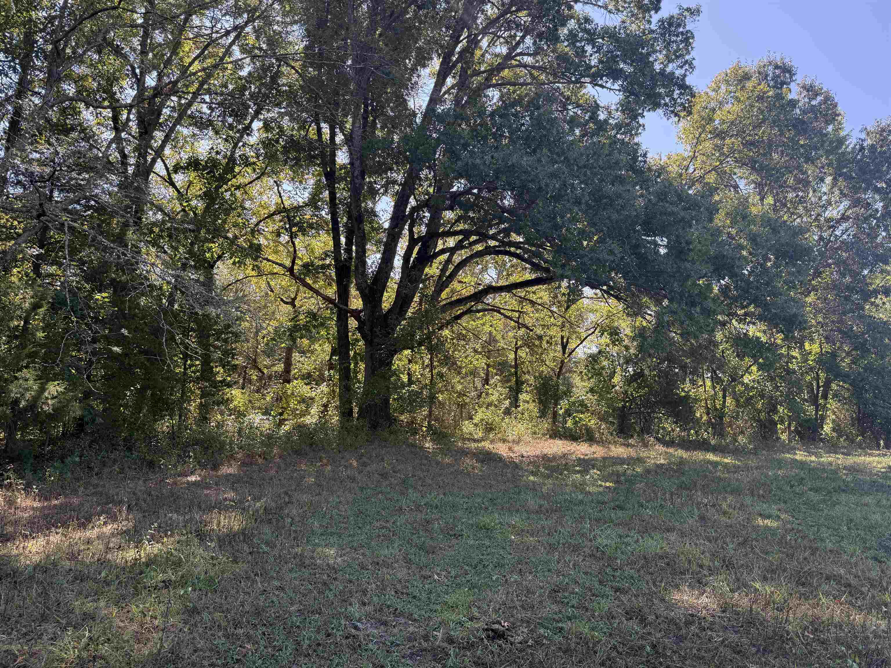 Photo 29 - Residential for sale – 217  Carpenter Road   Evening Shade, AR