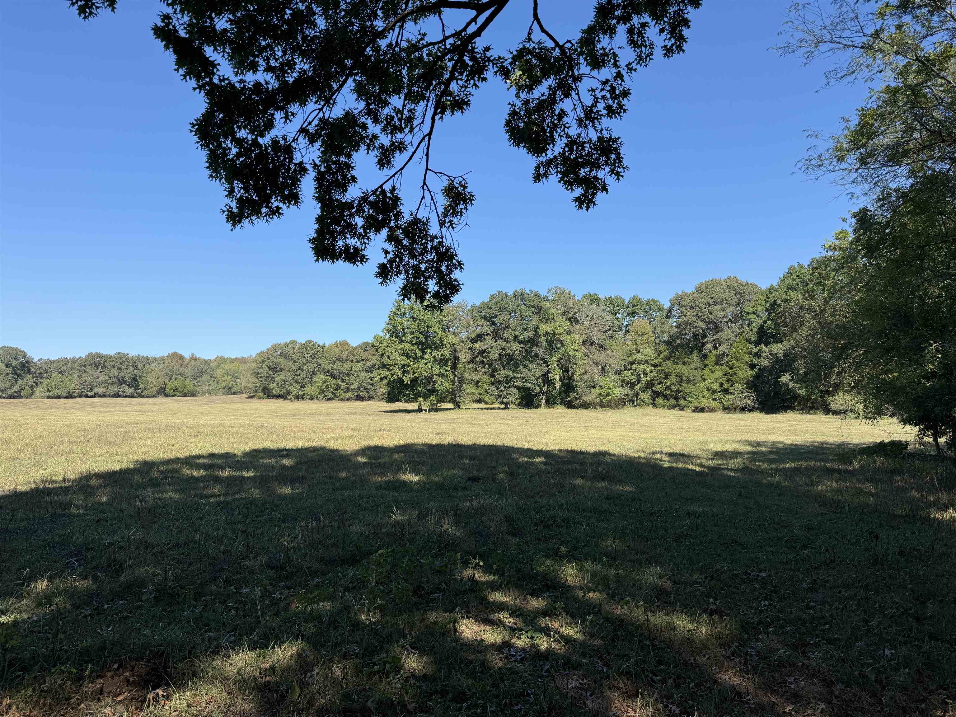 Photo 33 - Residential for sale – 217  Carpenter Road   Evening Shade, AR