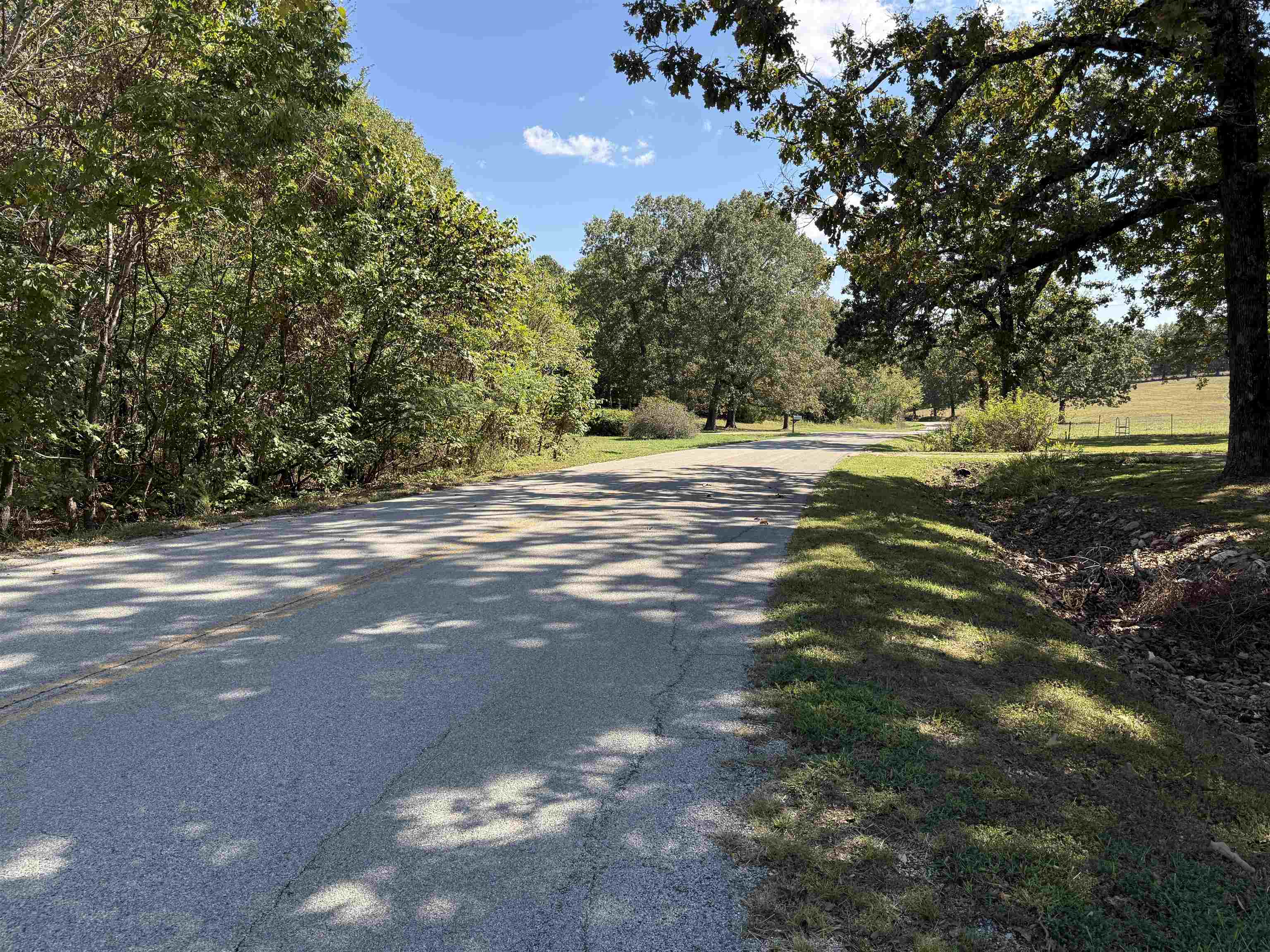 Photo 38 - Residential for sale – 217  Carpenter Road   Evening Shade, AR