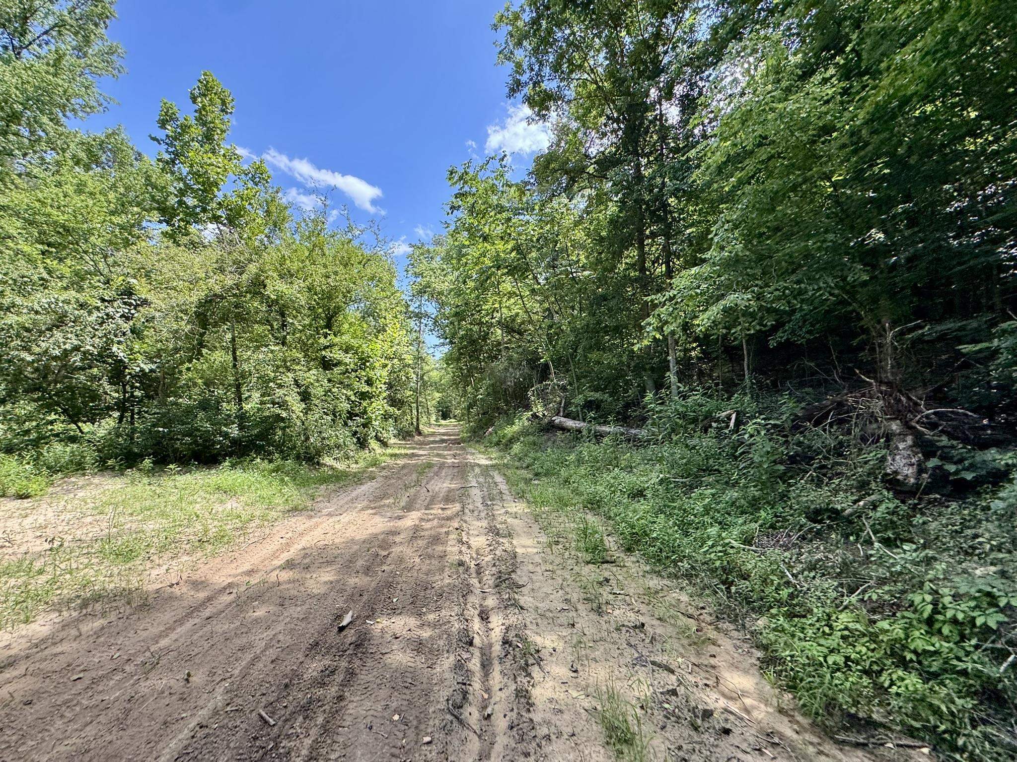 Photo 21 - Vacant Land for sale – 177 acres  Rose Trail   Melbourne, AR