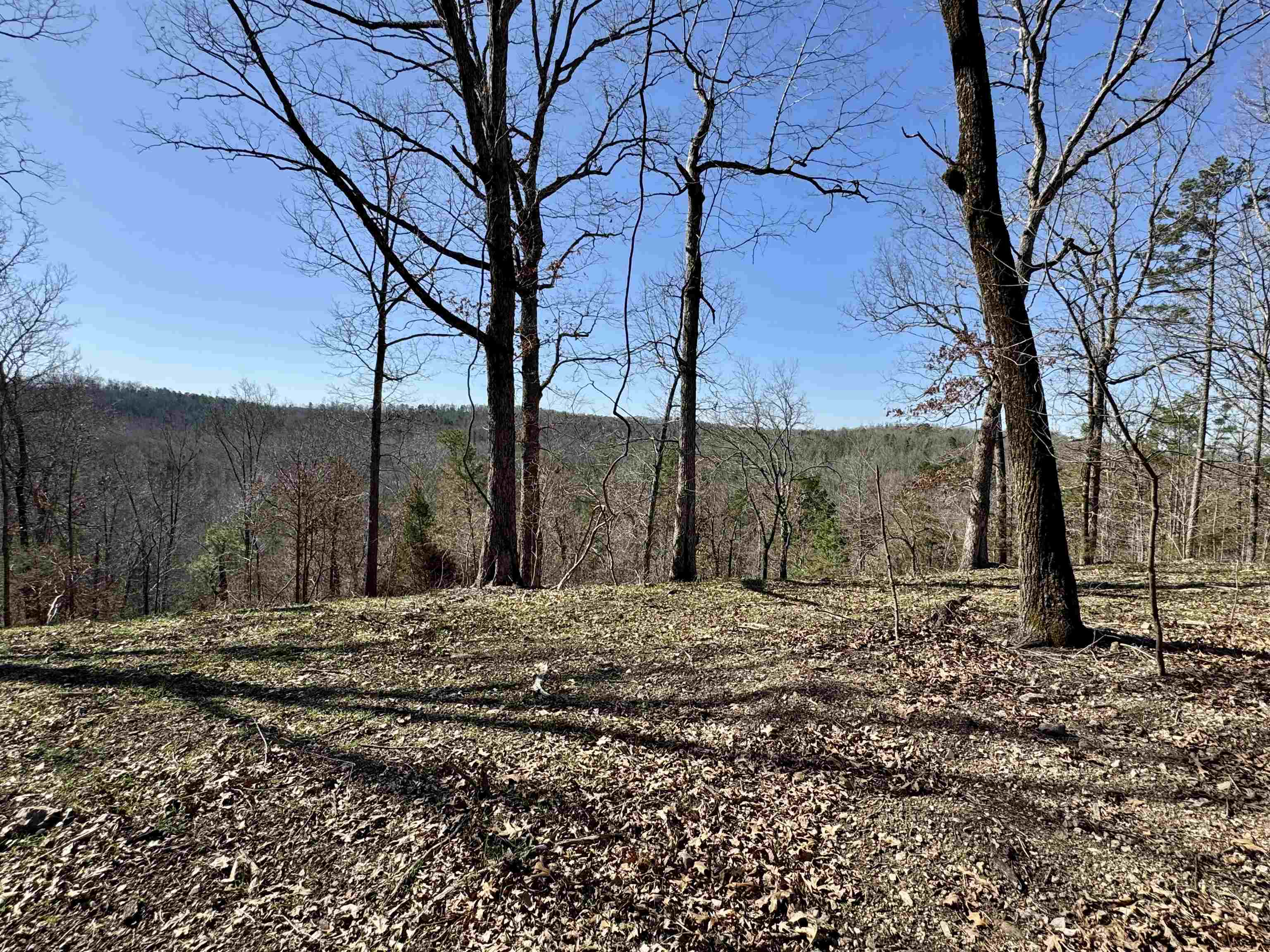 Photo 23 - Vacant Land for sale – 177 acres  Rose Trail   Melbourne, AR