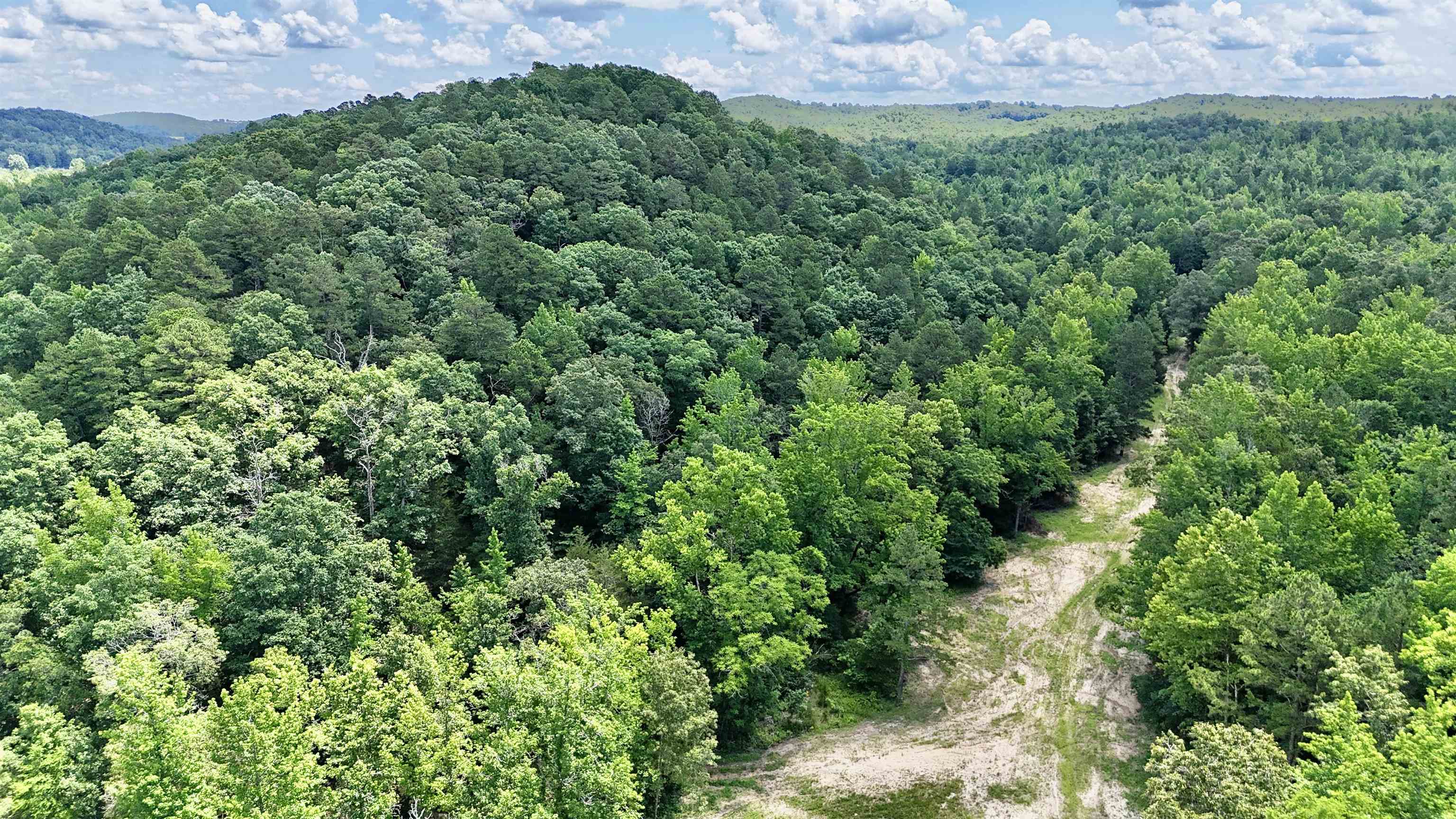 Photo 4 - Vacant Land for sale – 177 acres  Rose Trail   Melbourne, AR