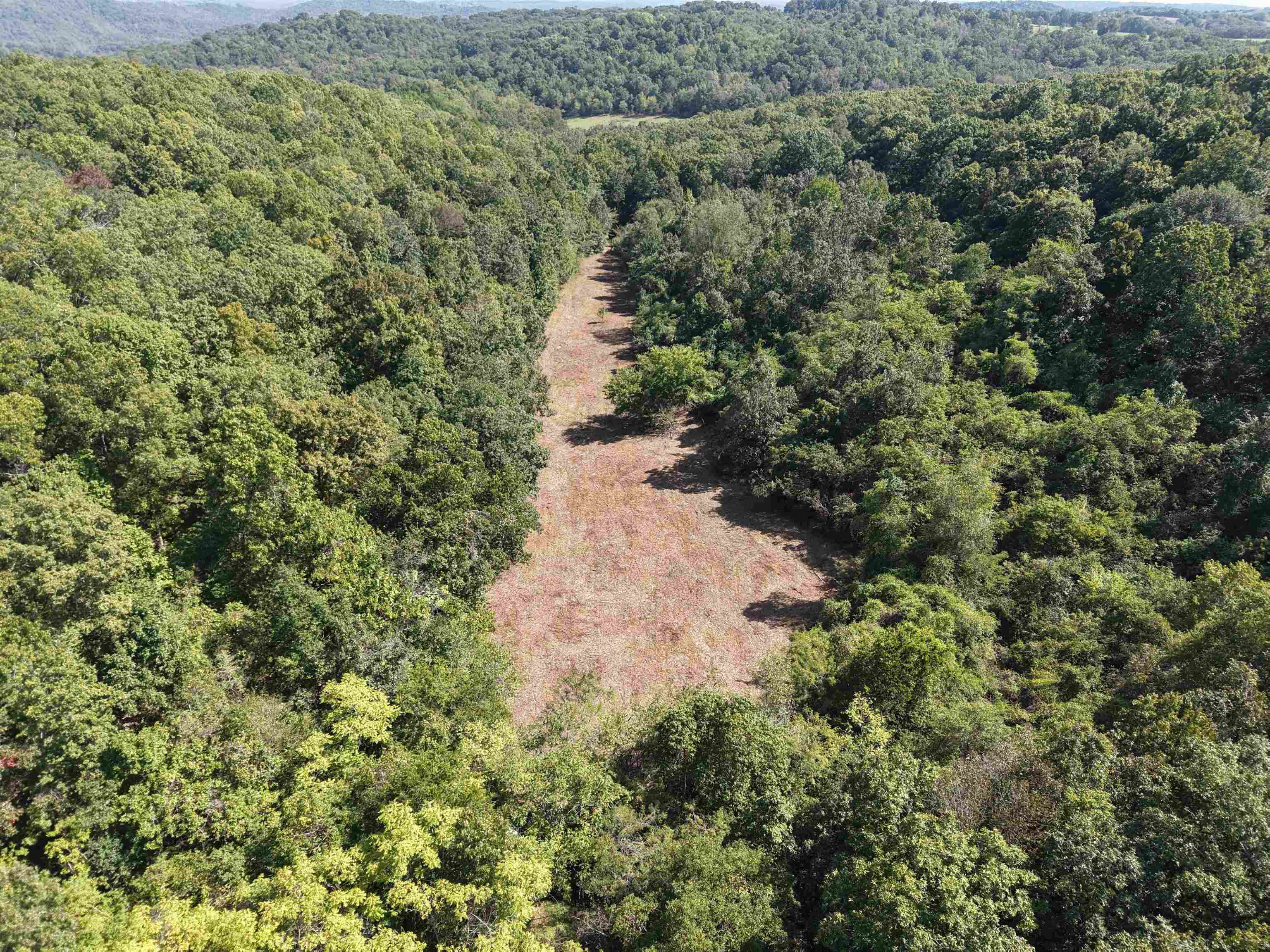 Photo 2 - Vacant Land for sale – 84A  County Road 154   Mount Pleasant, AR