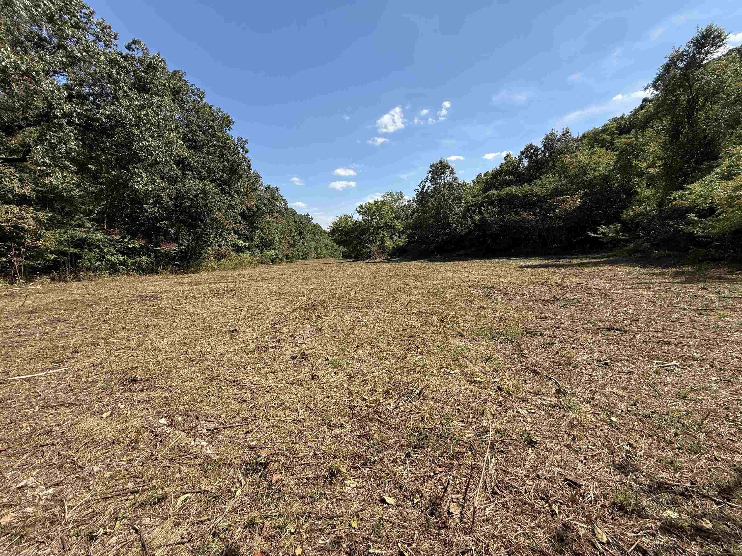 Photo 11 - Vacant Land for sale – 84A  County Road 154   Mount Pleasant, AR