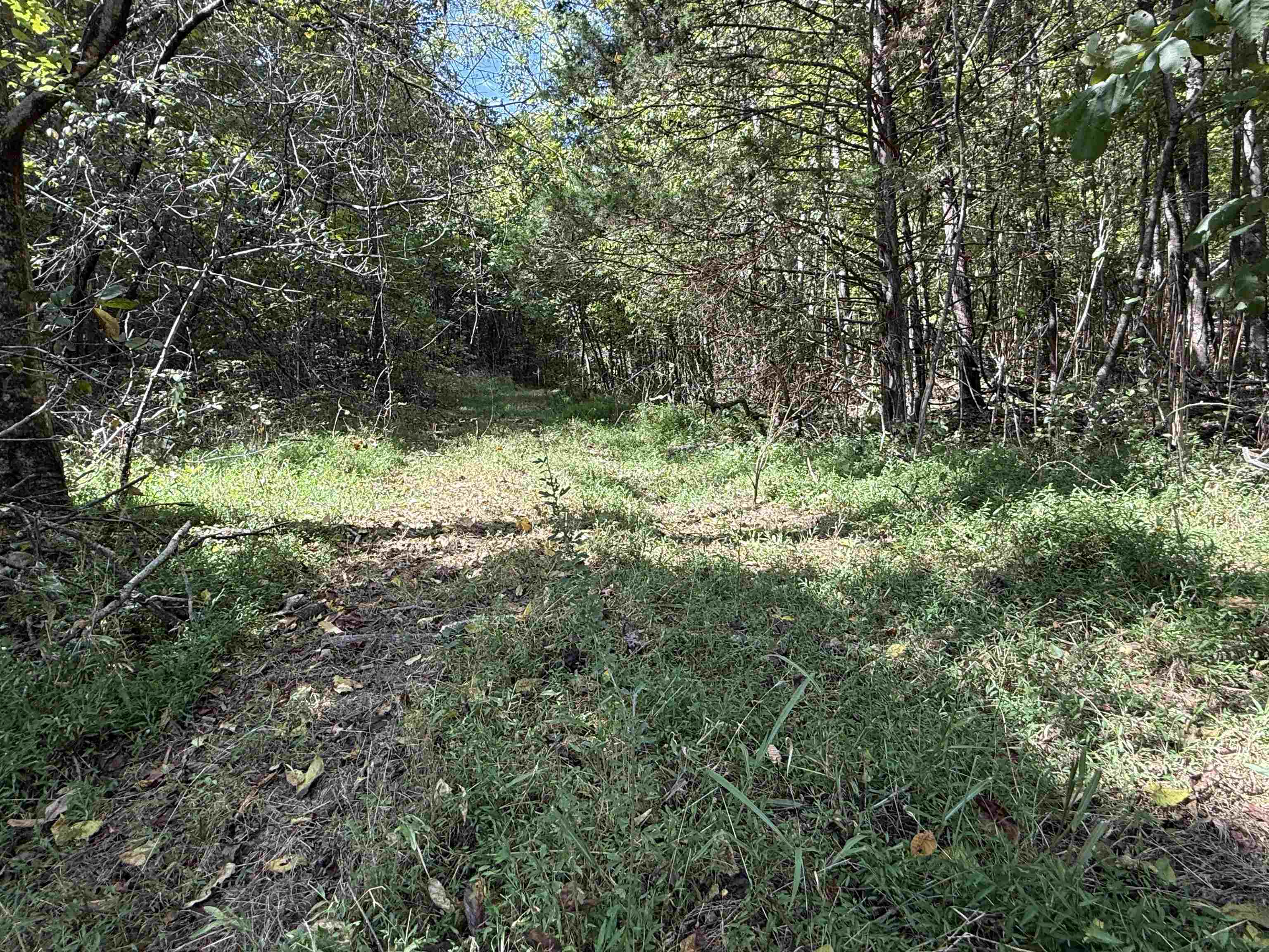 Photo 12 - Vacant Land for sale – 84A  County Road 154   Mount Pleasant, AR