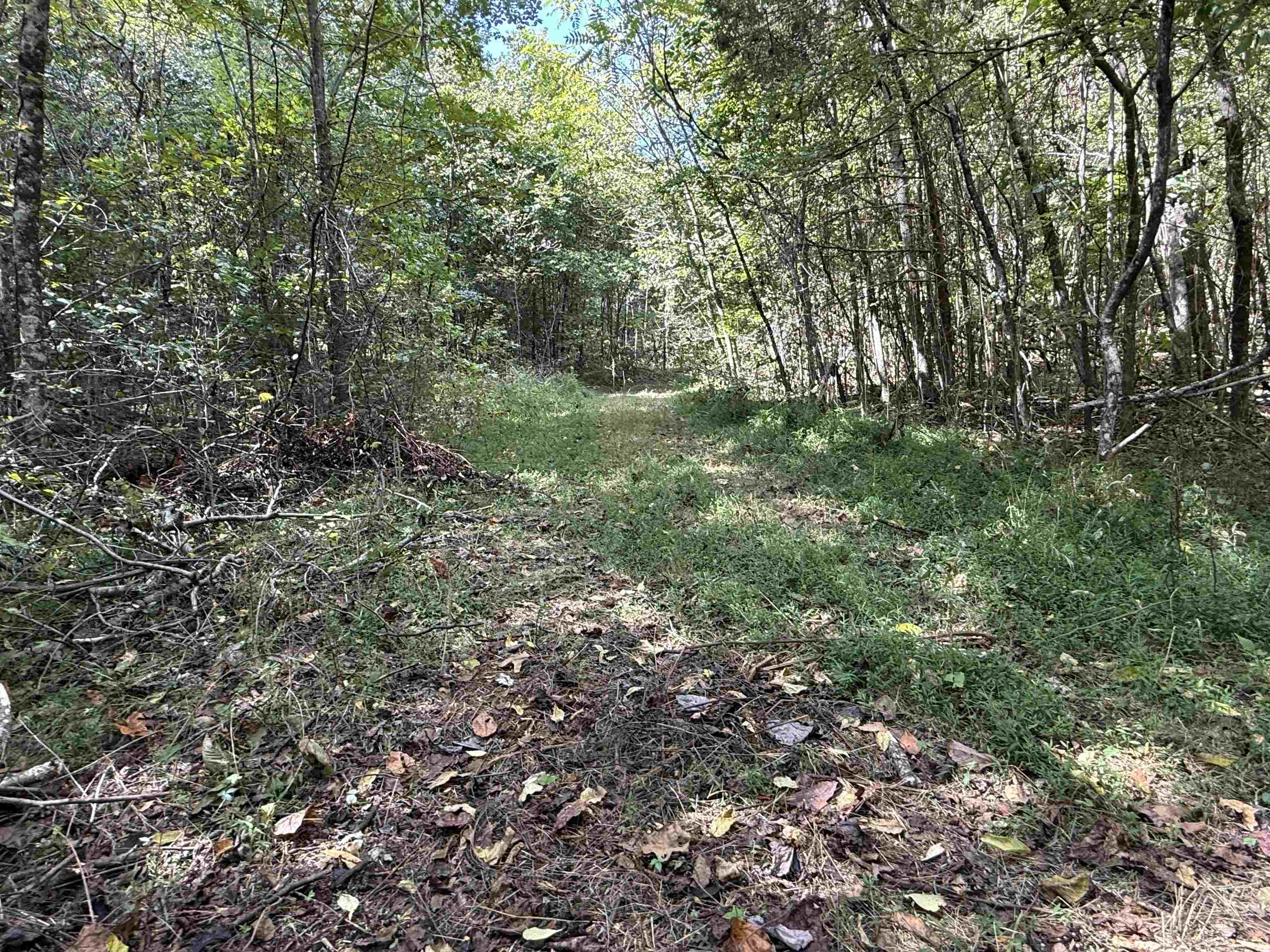 Photo 13 - Vacant Land for sale – 84A  County Road 154   Mount Pleasant, AR