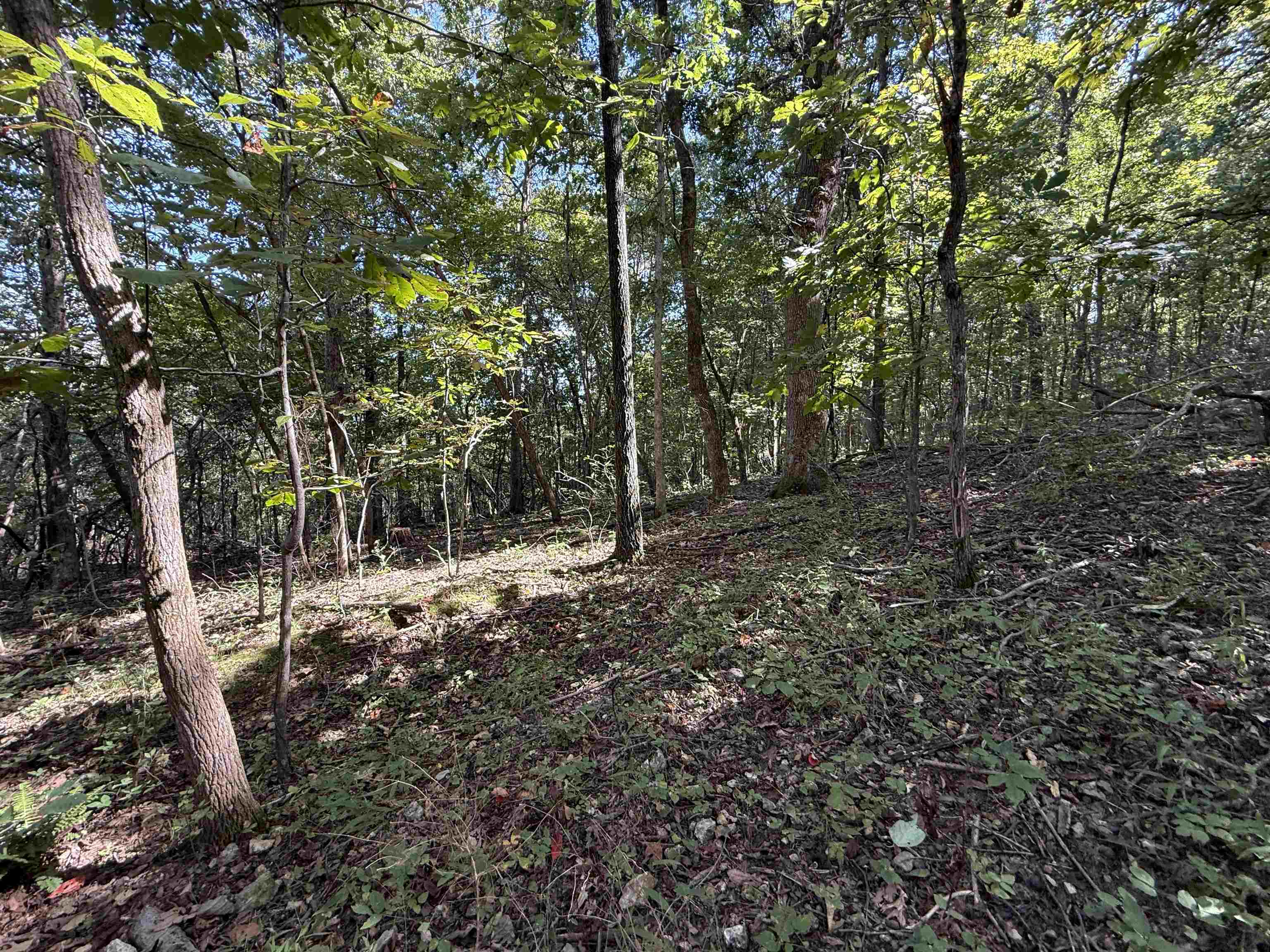 Photo 15 - Vacant Land for sale – 84A  County Road 154   Mount Pleasant, AR