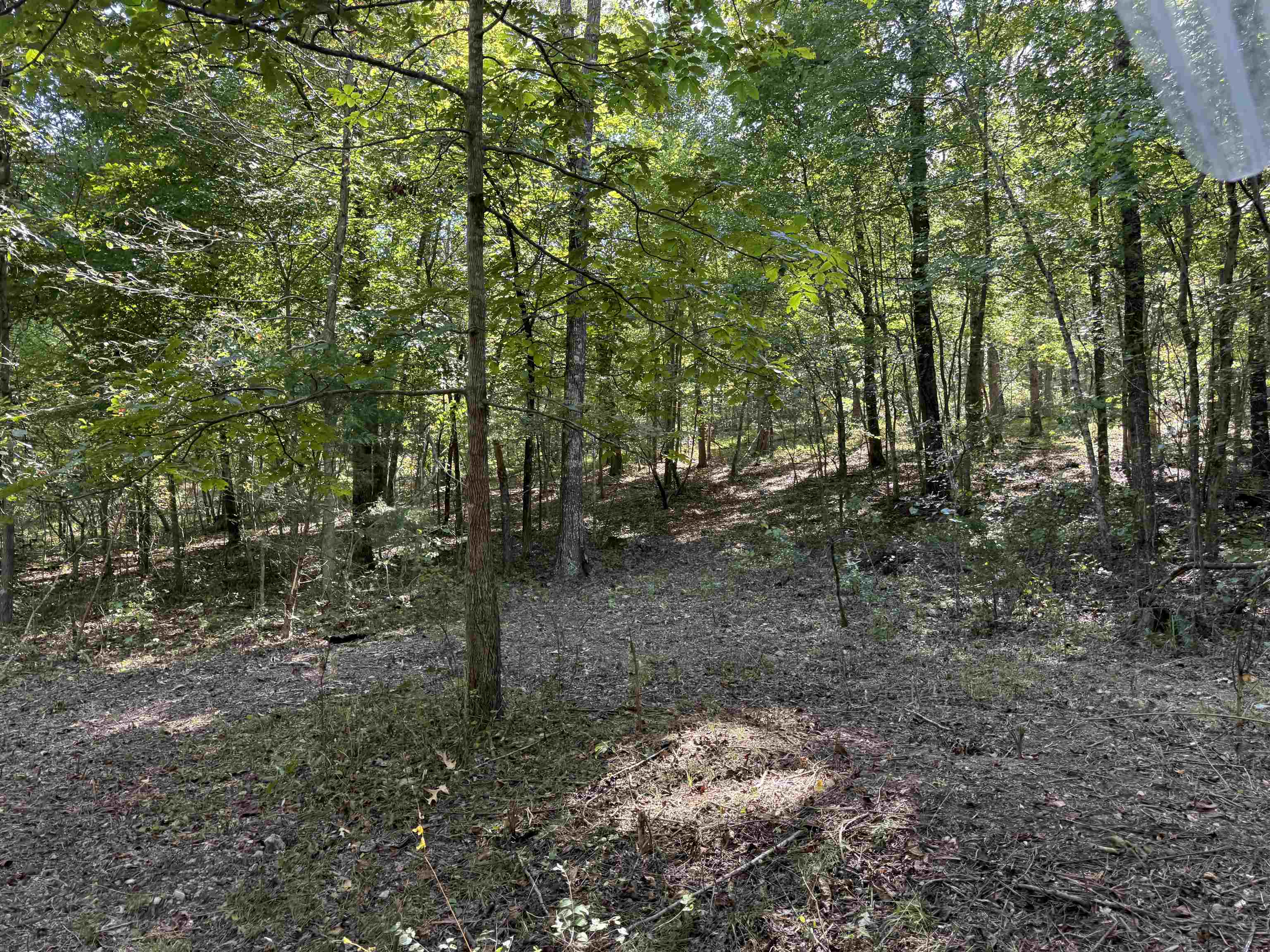 Photo 16 - Vacant Land for sale – 84A  County Road 154   Mount Pleasant, AR