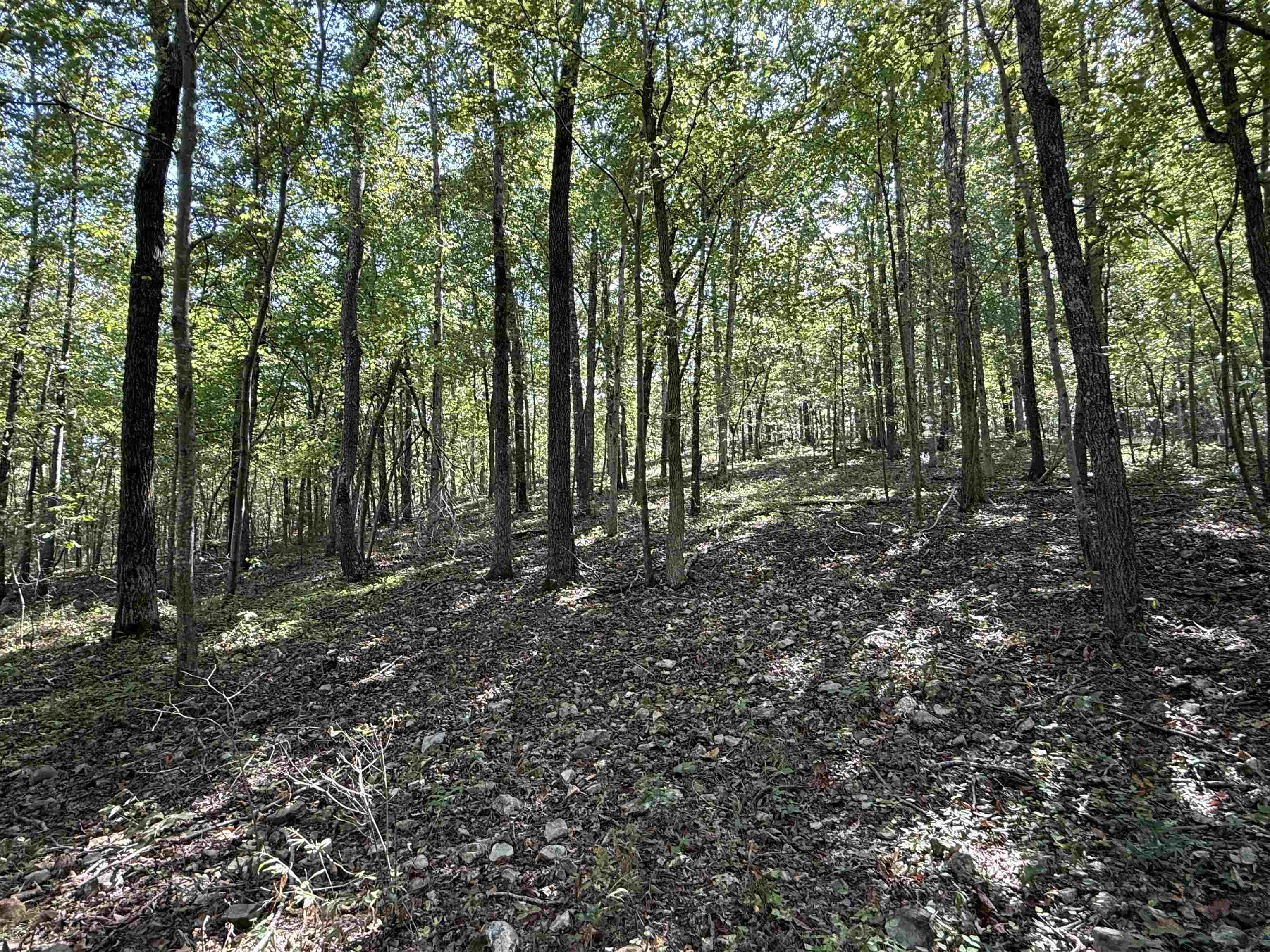 Photo 17 - Vacant Land for sale – 84A  County Road 154   Mount Pleasant, AR