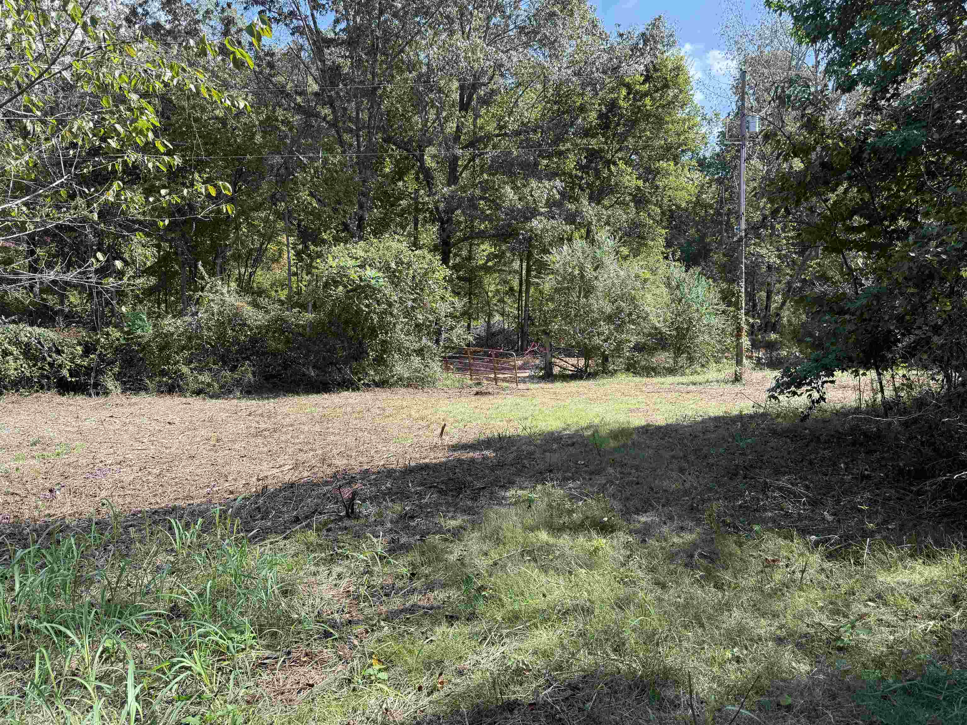 Photo 18 - Vacant Land for sale – 84A  County Road 154   Mount Pleasant, AR