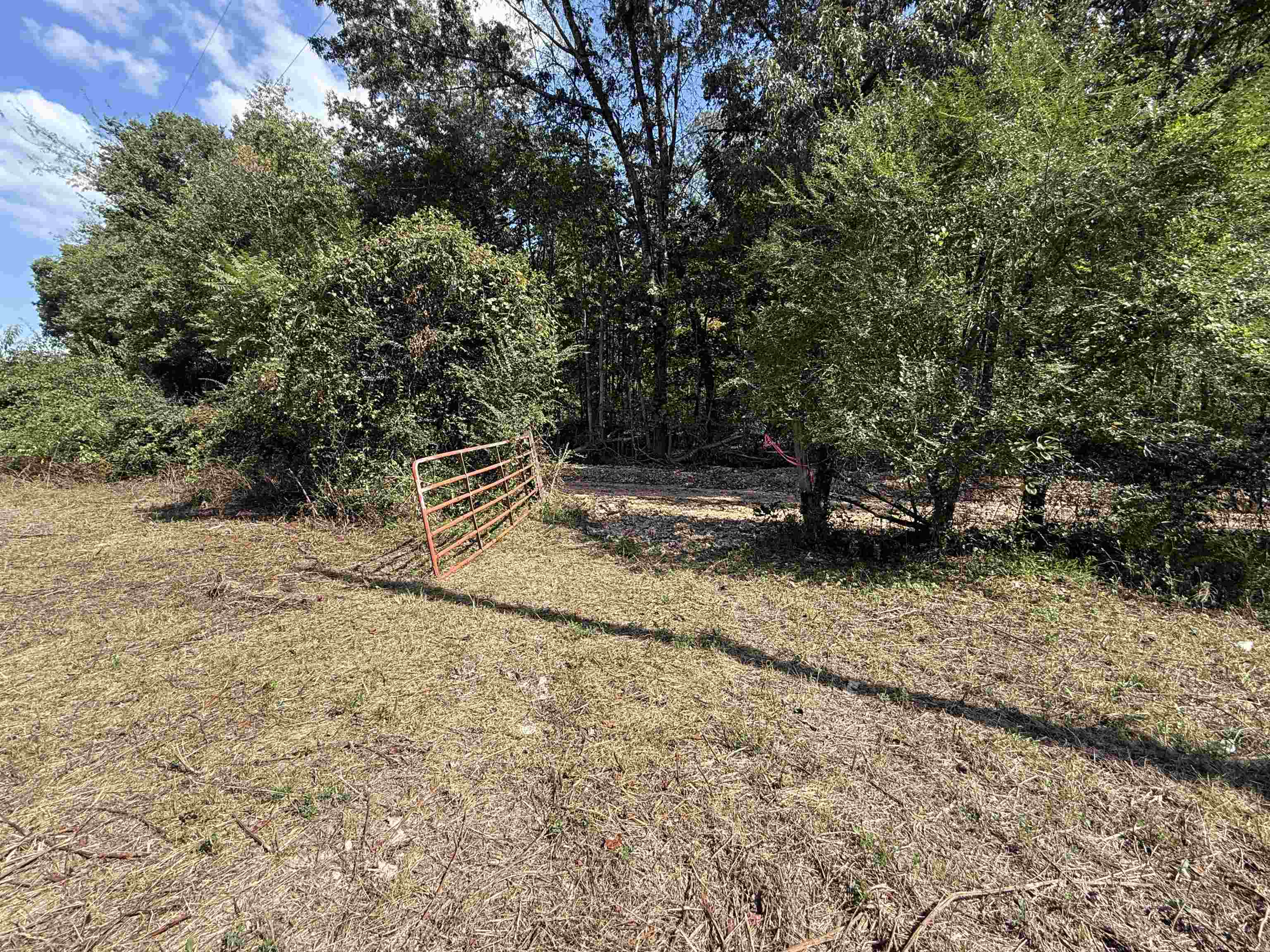 Photo 19 - Vacant Land for sale – 84A  County Road 154   Mount Pleasant, AR