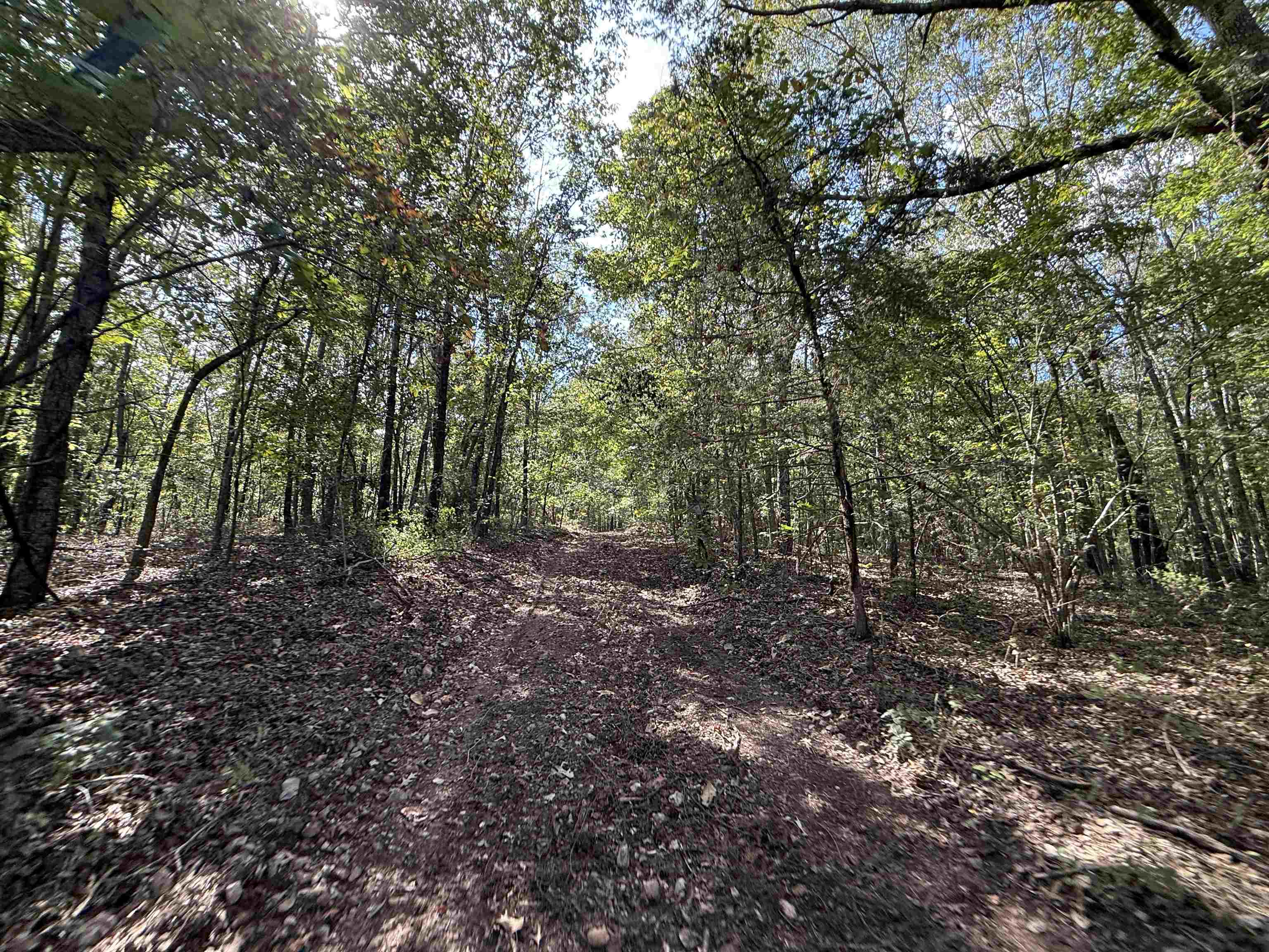 Photo 20 - Vacant Land for sale – 84A  County Road 154   Mount Pleasant, AR