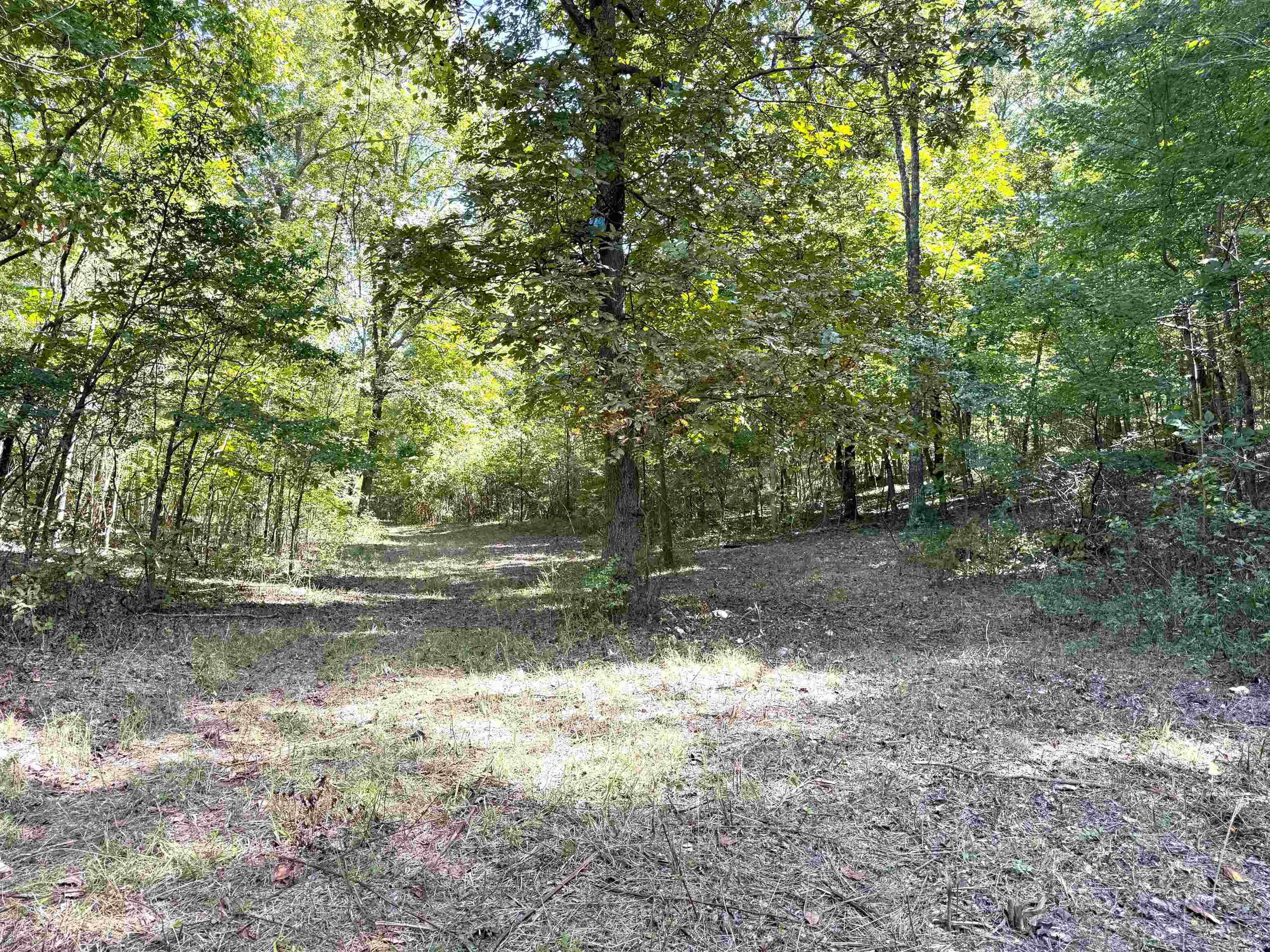 Photo 3 - Vacant Land for sale – 84A  County Road 154   Mount Pleasant, AR