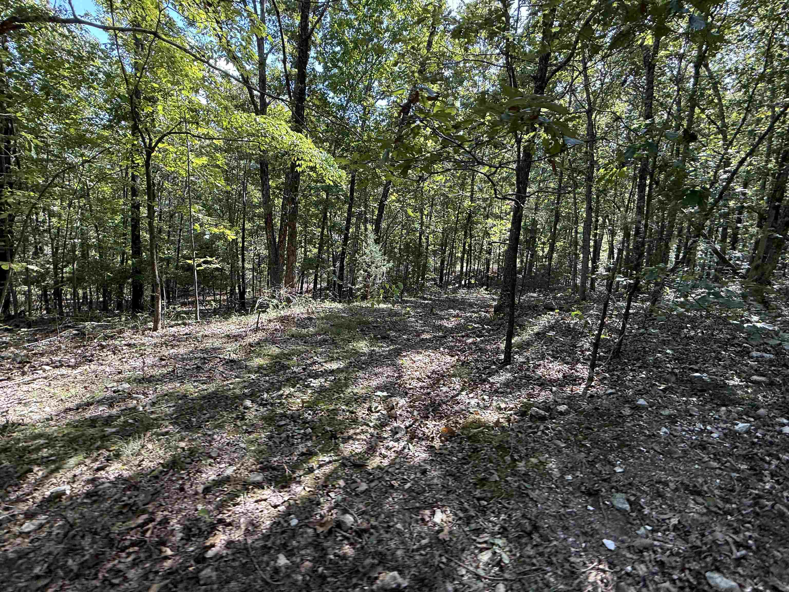 Photo 21 - Vacant Land for sale – 84A  County Road 154   Mount Pleasant, AR