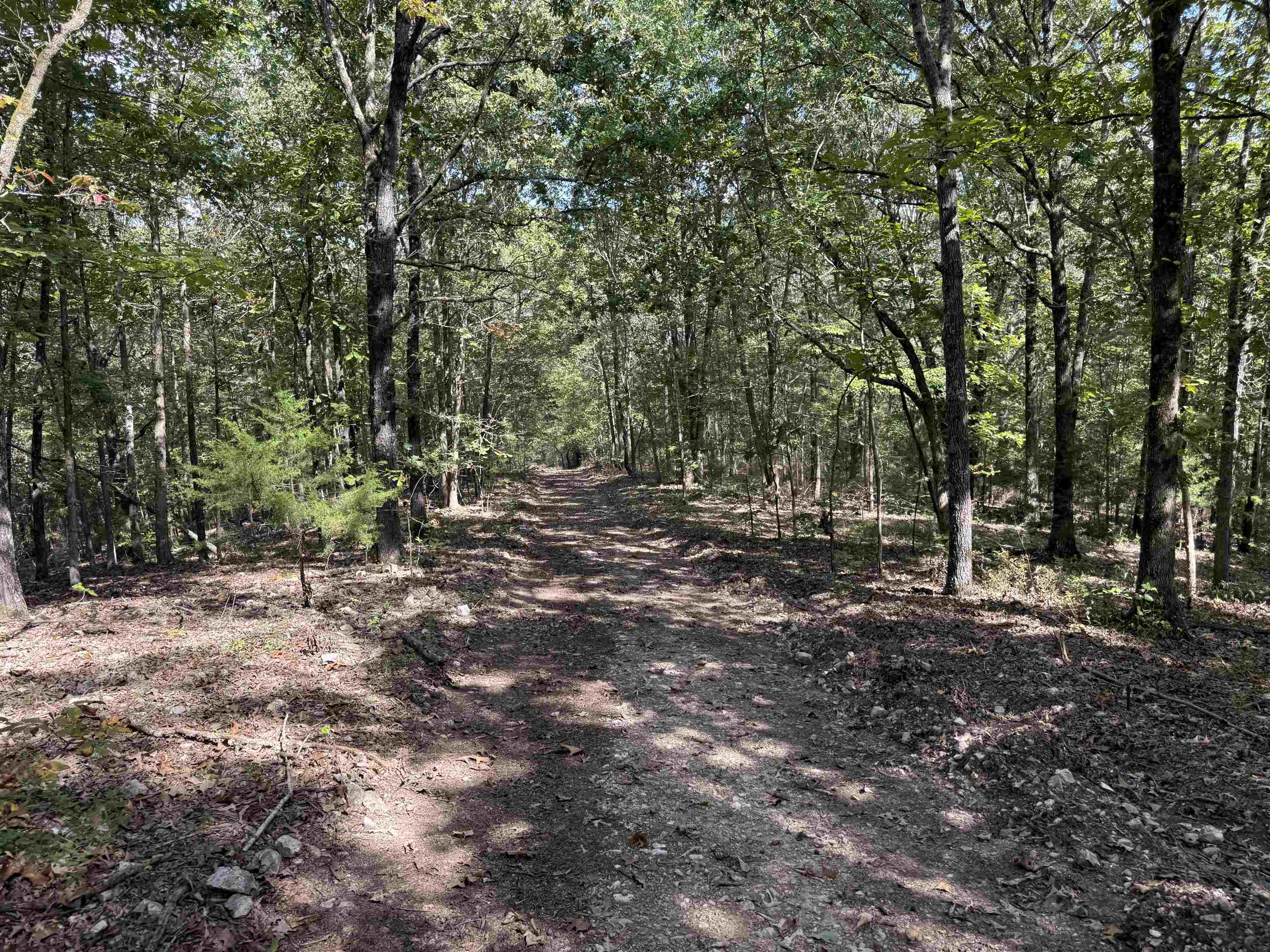 Photo 22 - Vacant Land for sale – 84A  County Road 154   Mount Pleasant, AR