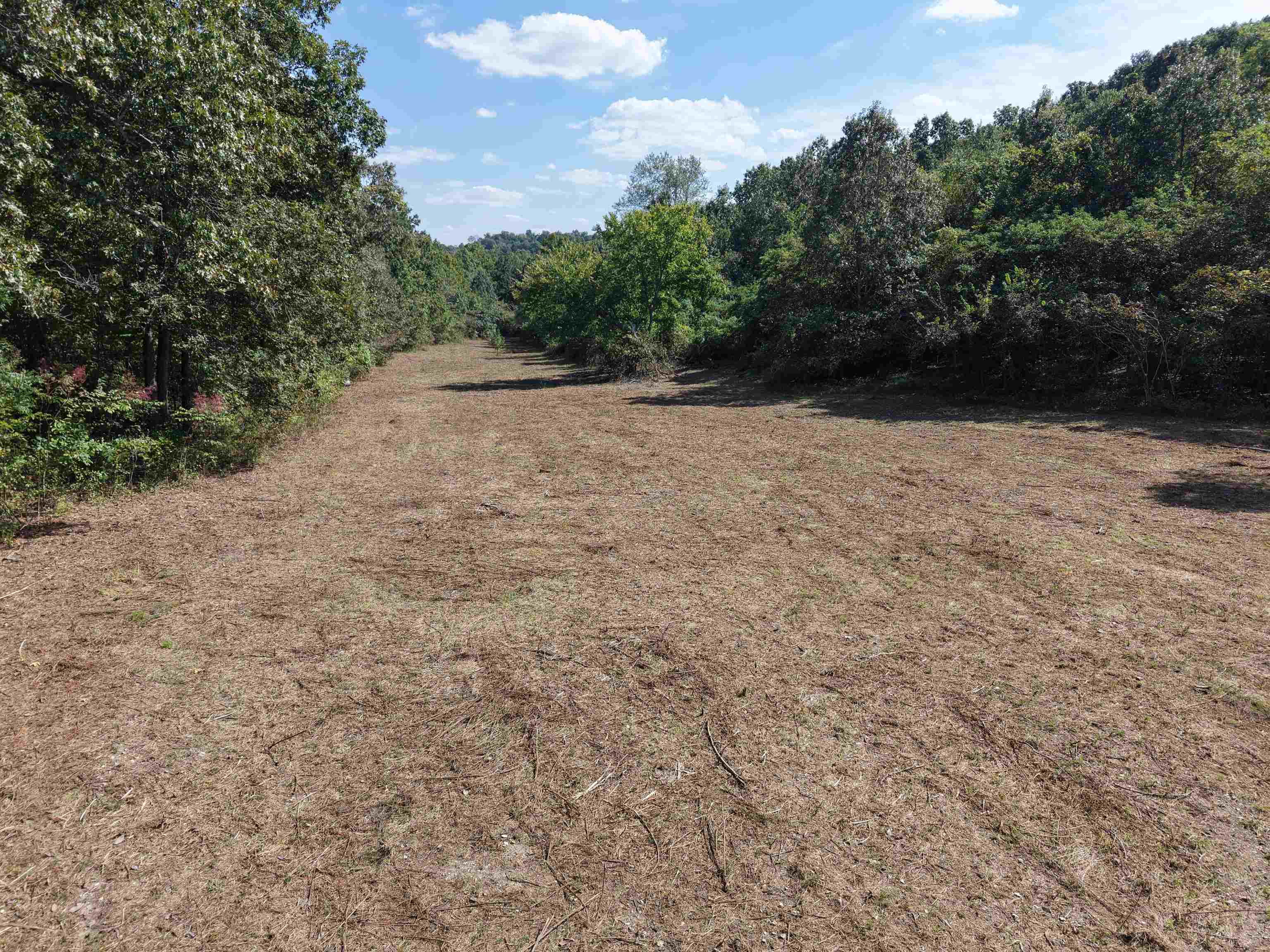 Photo 4 - Vacant Land for sale – 84A  County Road 154   Mount Pleasant, AR