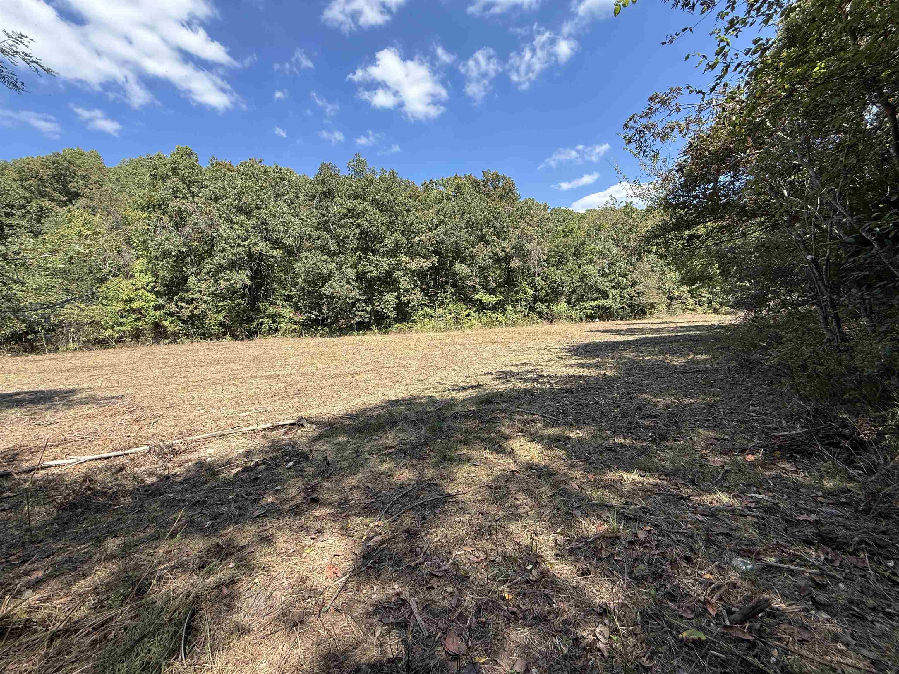 Photo 10 - Vacant Land for sale – 84A  County Road 154   Mount Pleasant, AR