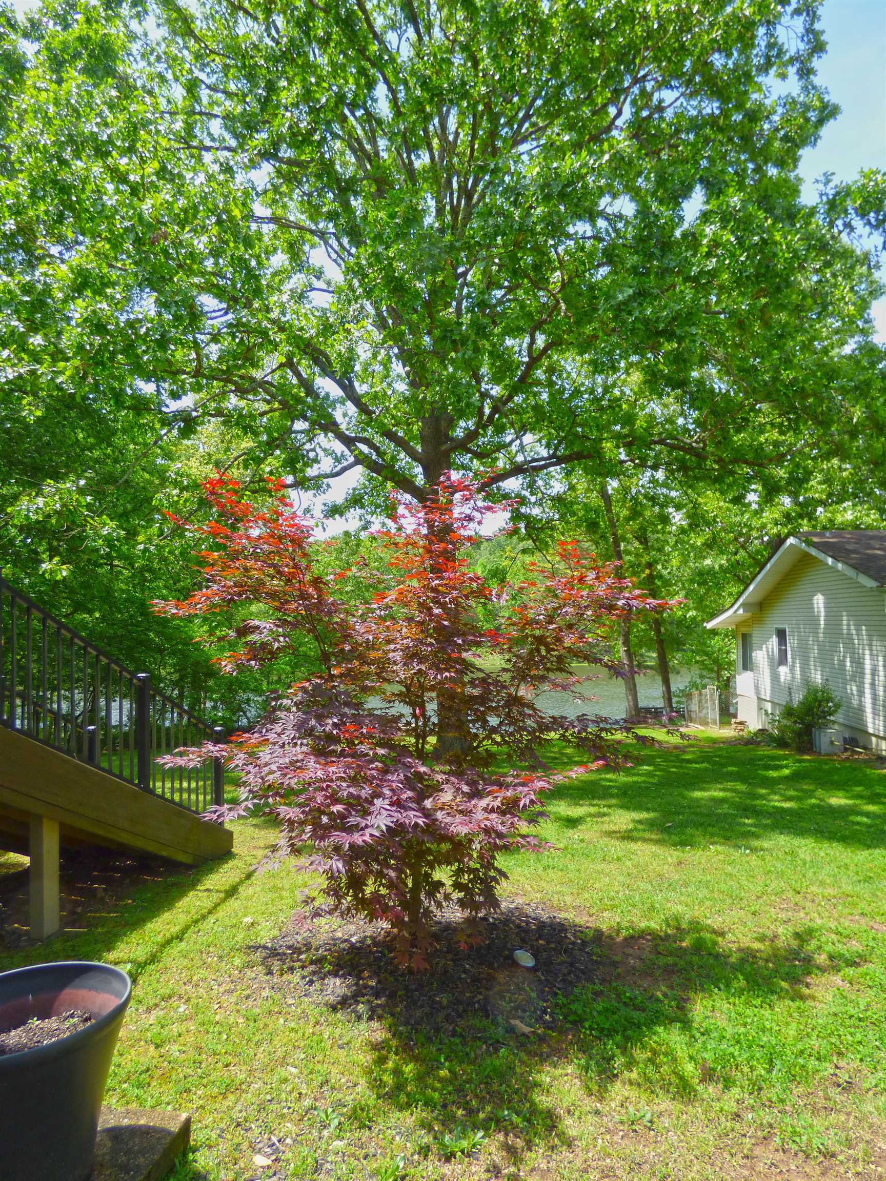 Photo 30 - Residential for sale – 46  Enid   Cherokee Village, AR