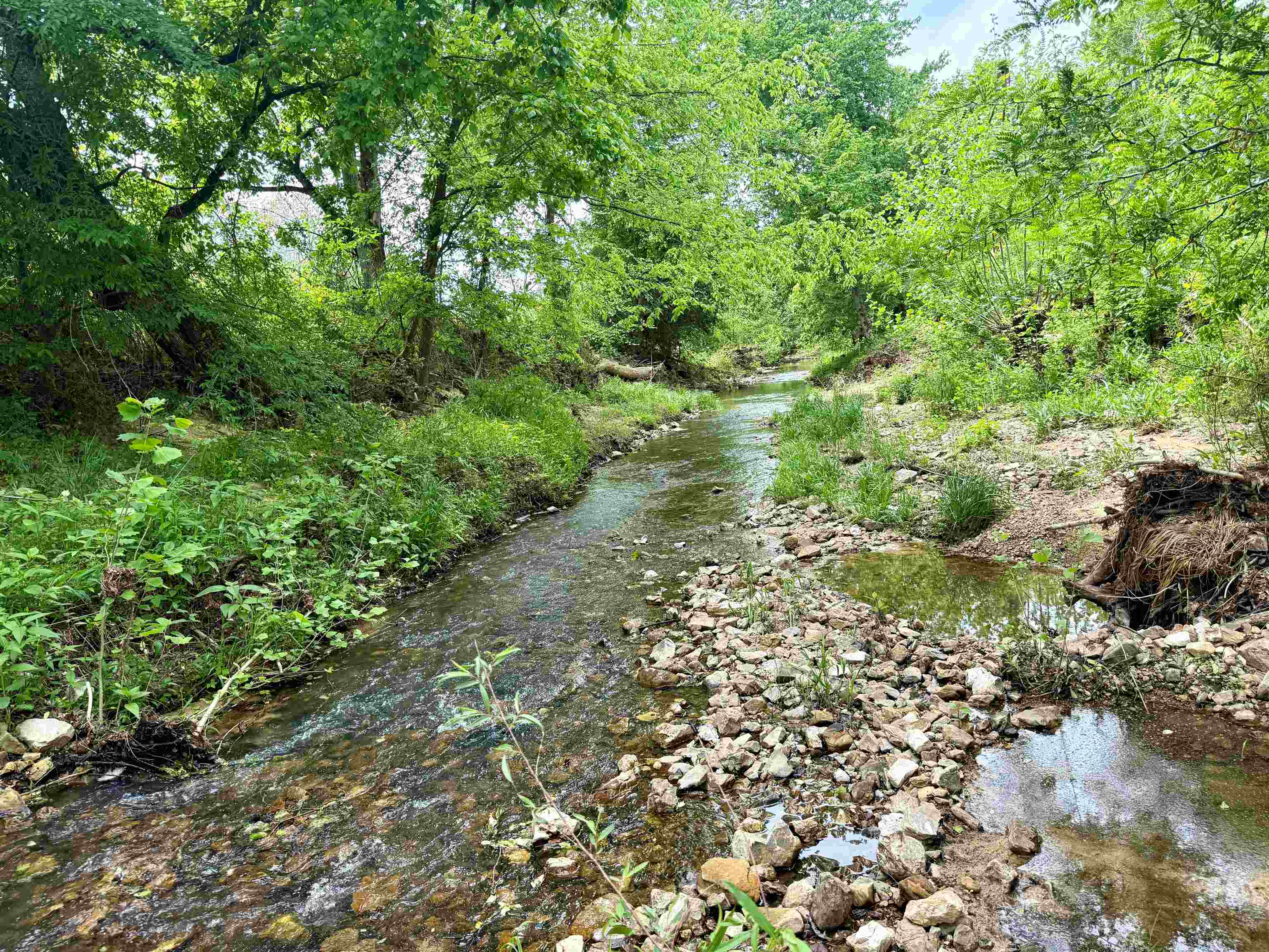 Photo 3 - Residential for sale – 2157  Pleasant Grove Road   Calico Rock, AR