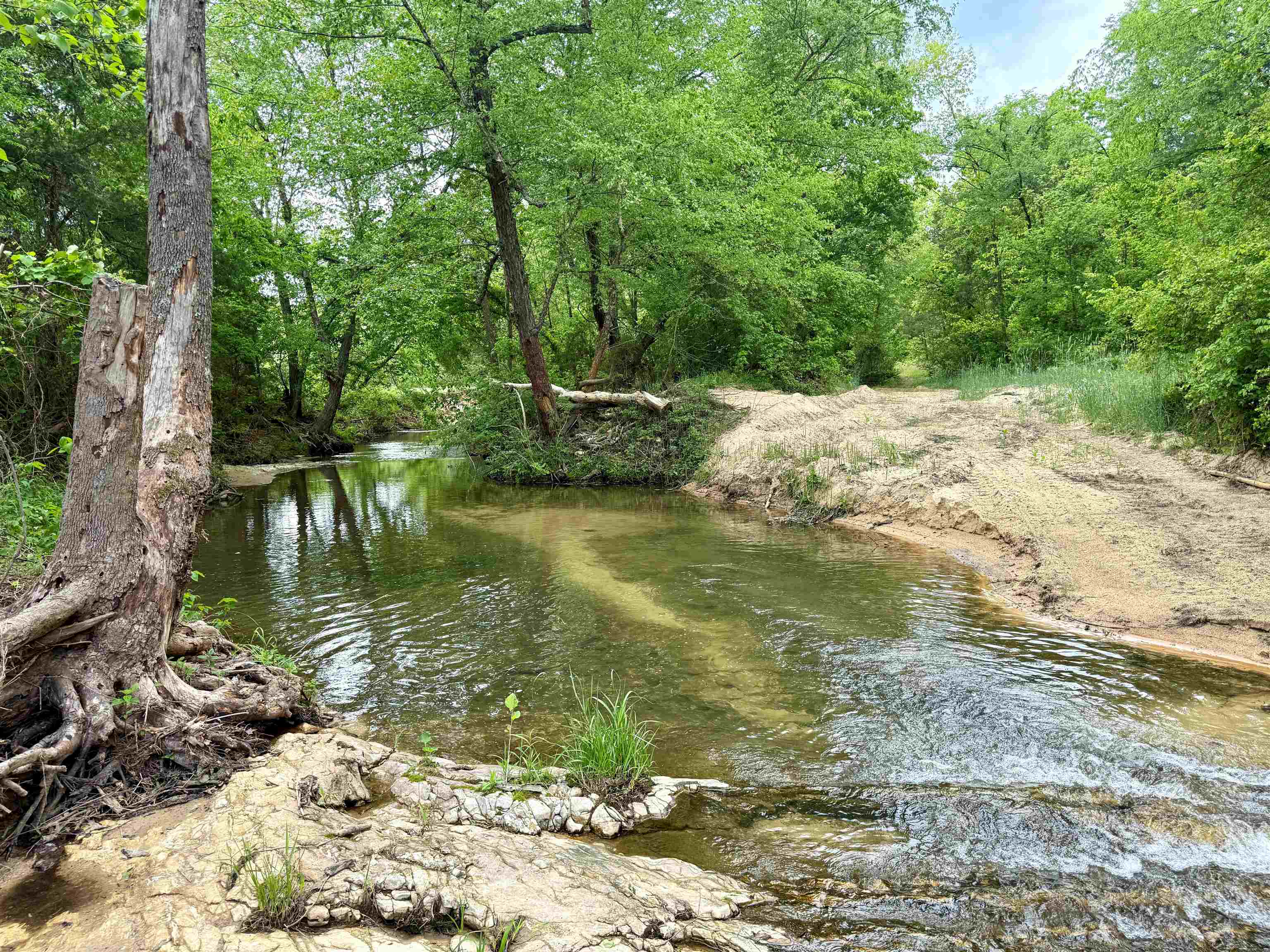 Photo 4 - Residential for sale – 2157  Pleasant Grove Road   Calico Rock, AR