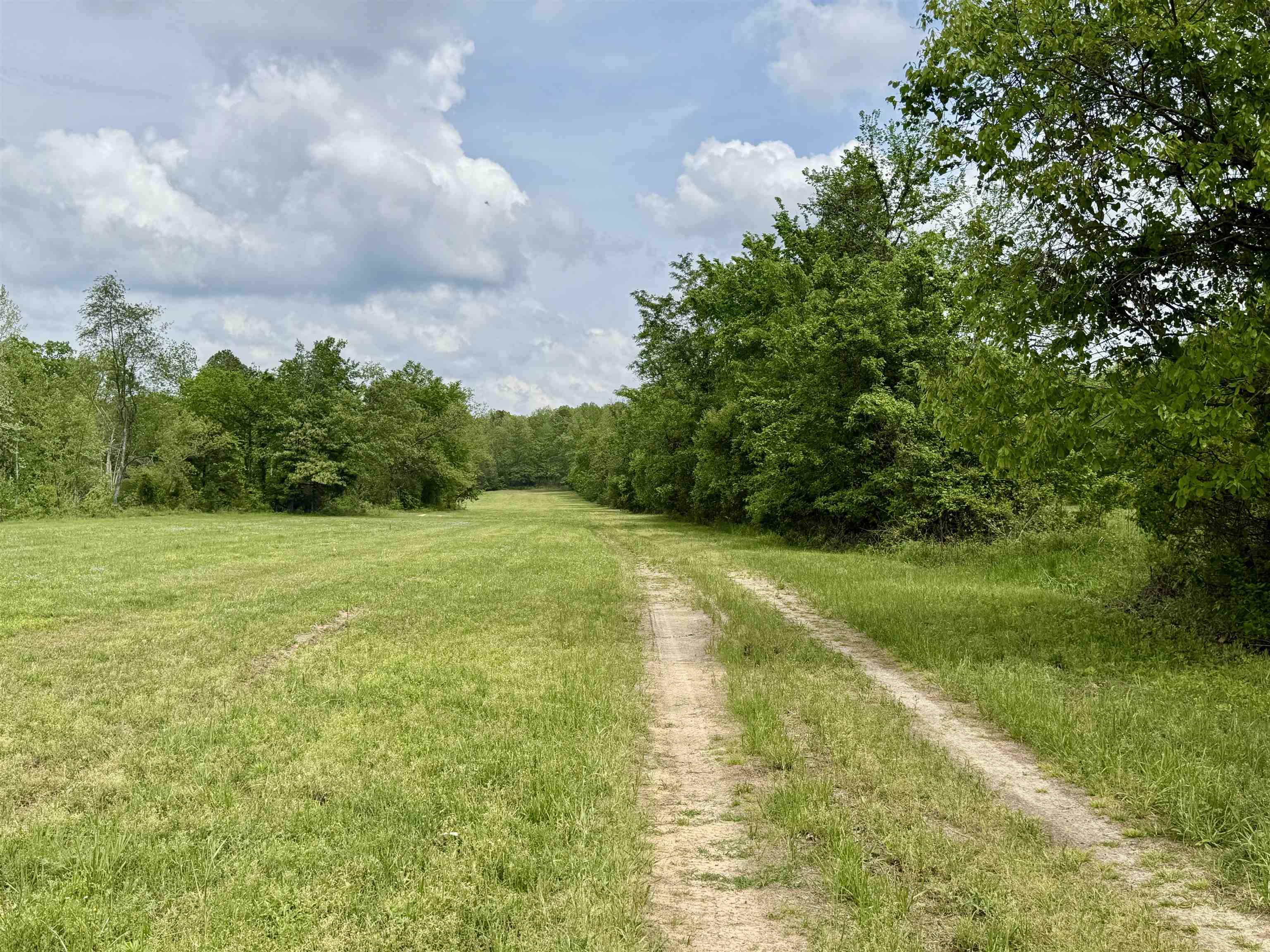 Photo 43 - Residential for sale – 2157  Pleasant Grove Road   Calico Rock, AR