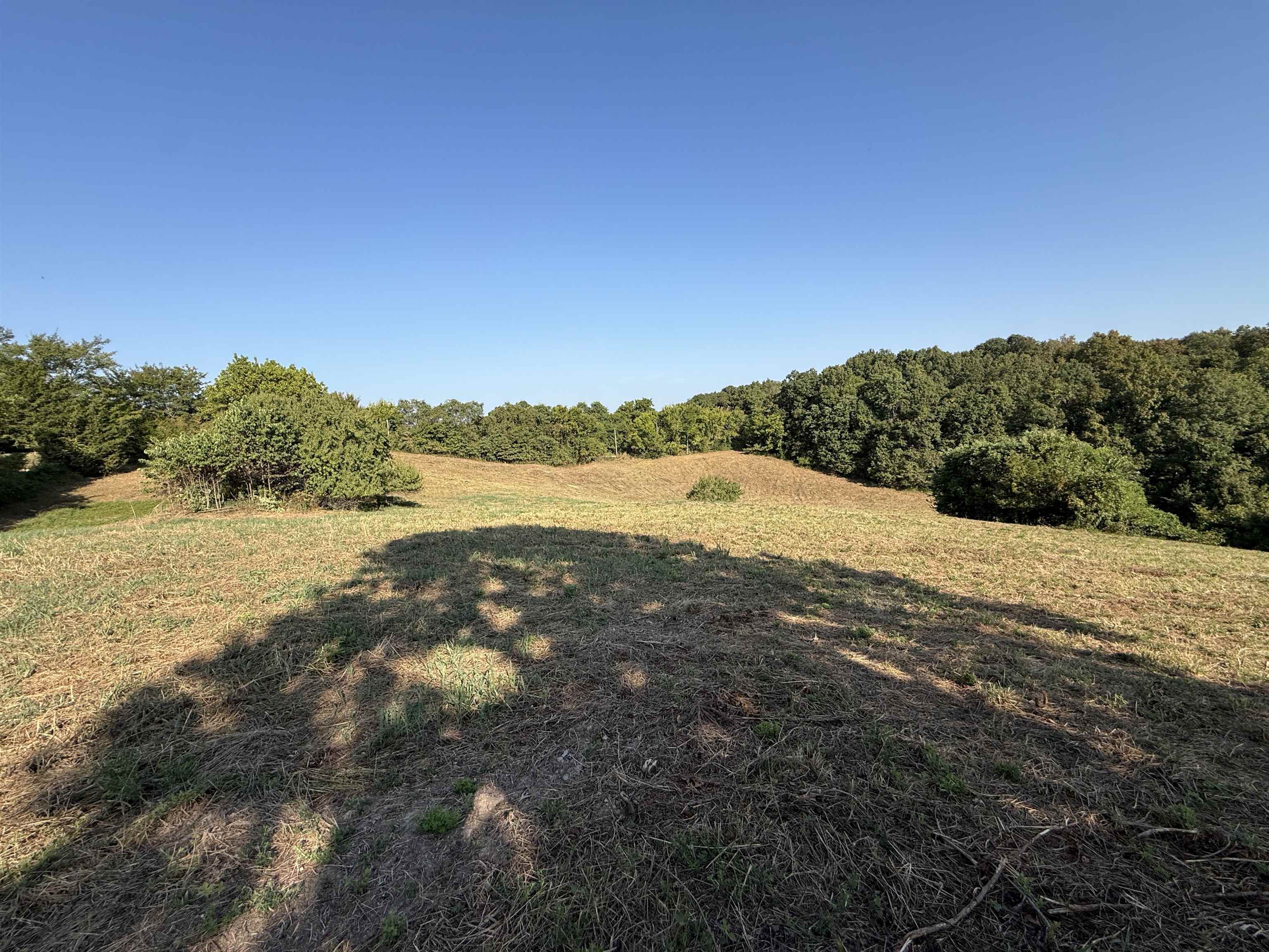 Photo 11 - Vacant Land for sale – 46A  Lafferty Road   Mount Pleasant, AR