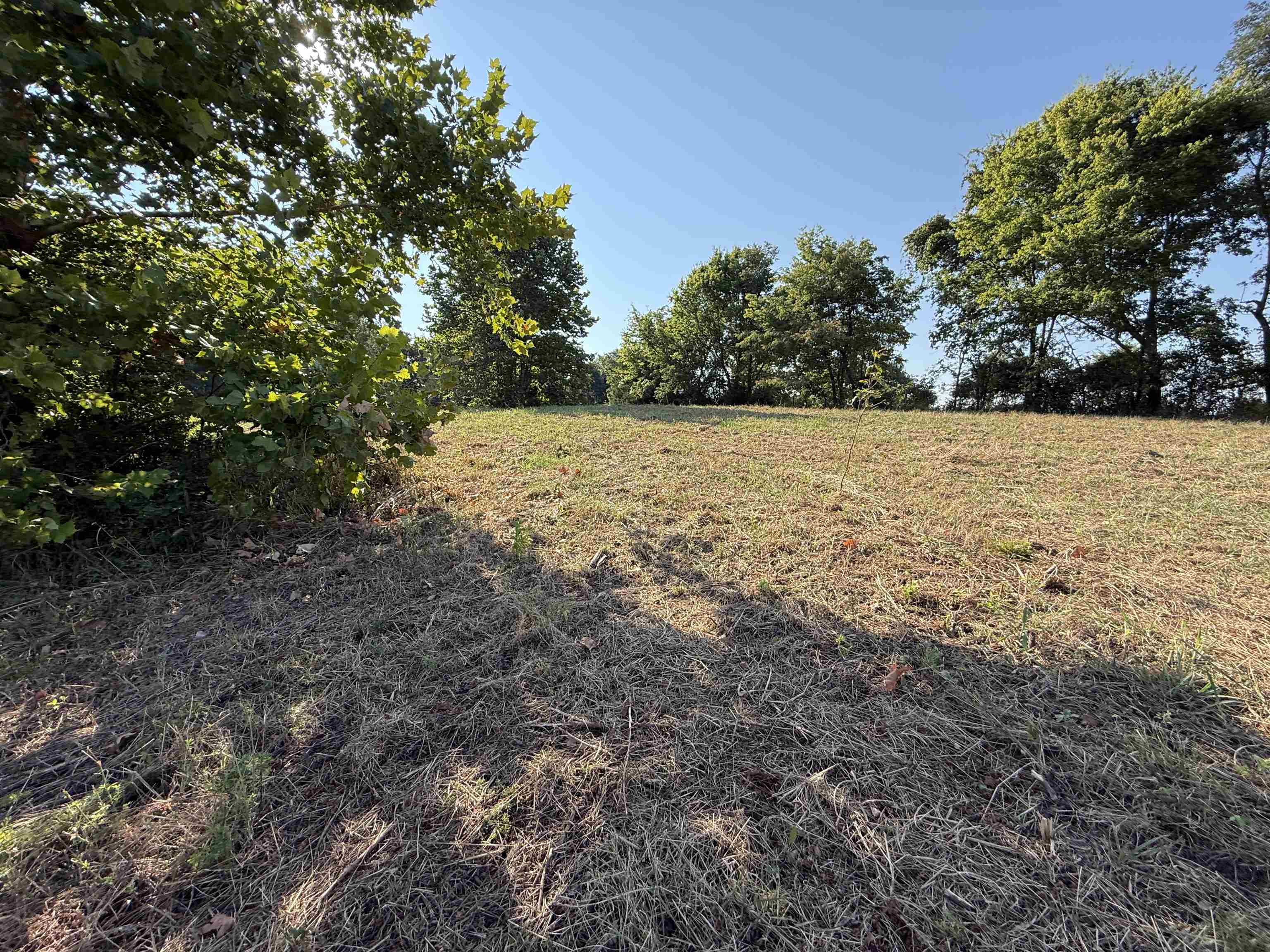 Photo 12 - Vacant Land for sale – 68A  Lafferty Road   Mount Pleasant, AR