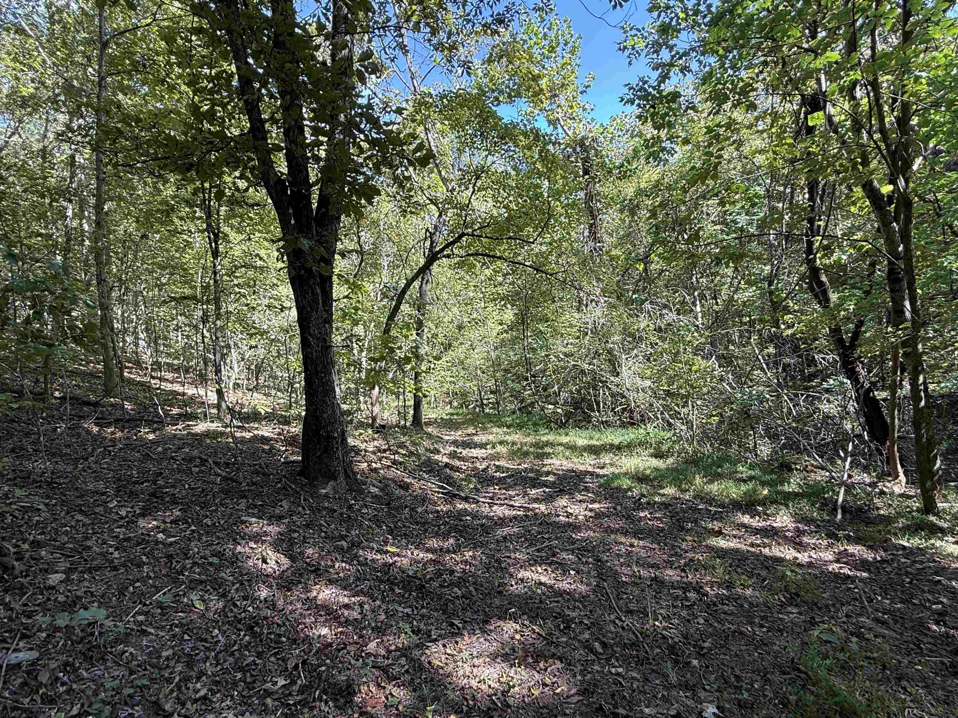 Photo 13 - Vacant Land for sale – 68A  Lafferty Road   Mount Pleasant, AR