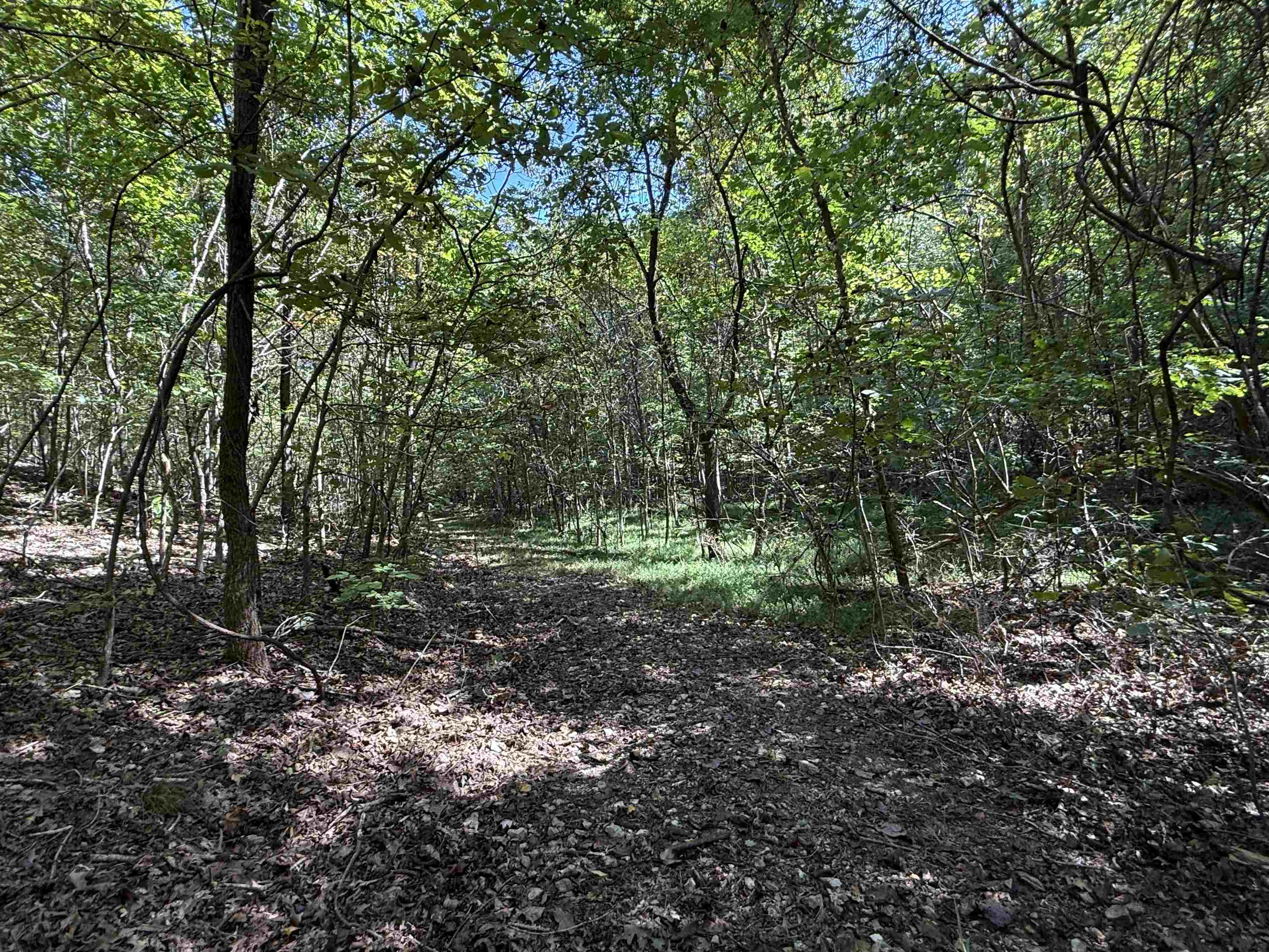 Photo 14 - Vacant Land for sale – 46A  Lafferty Road   Mount Pleasant, AR