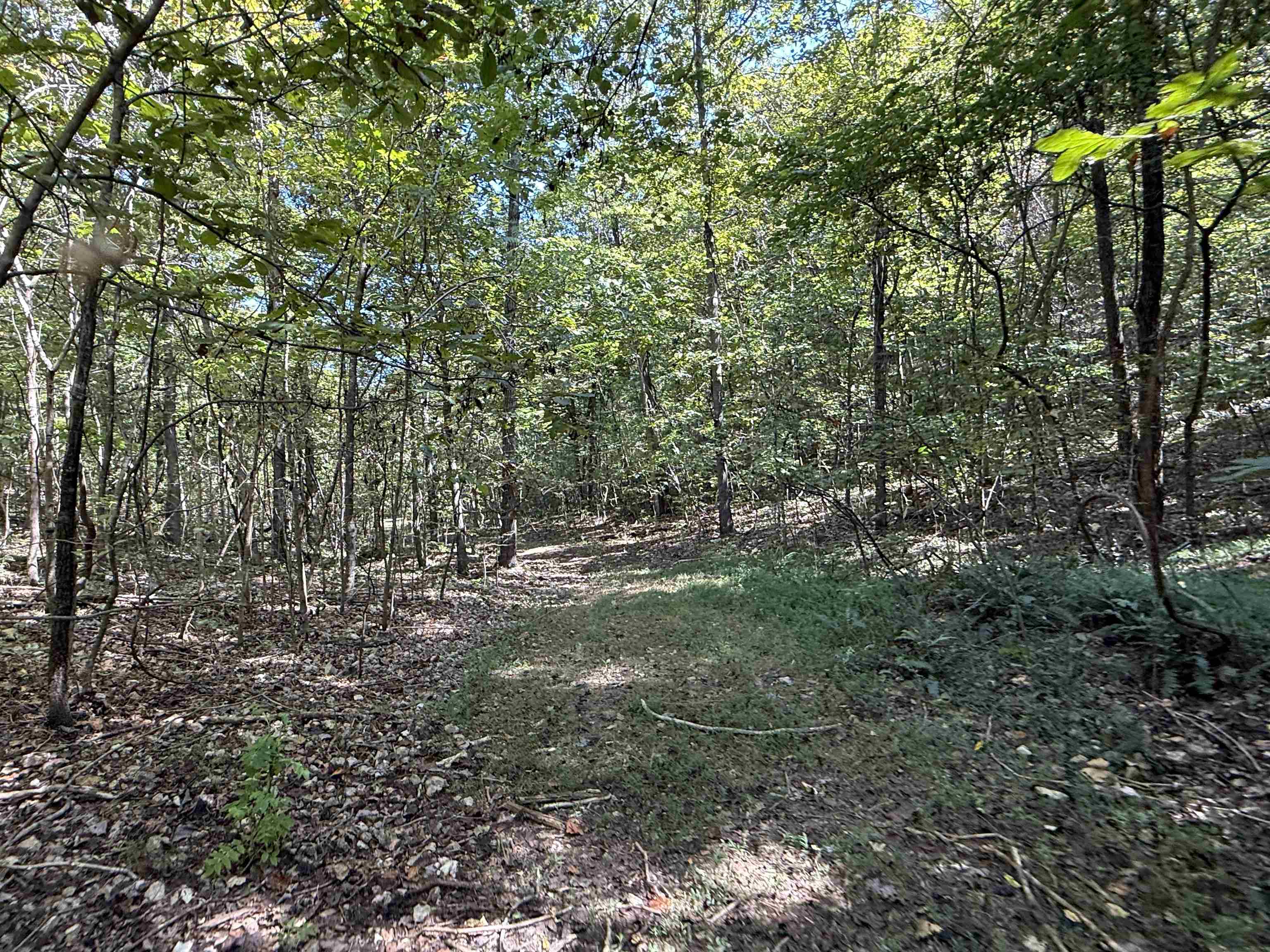 Photo 15 - Vacant Land for sale – 68A  Lafferty Road   Mount Pleasant, AR