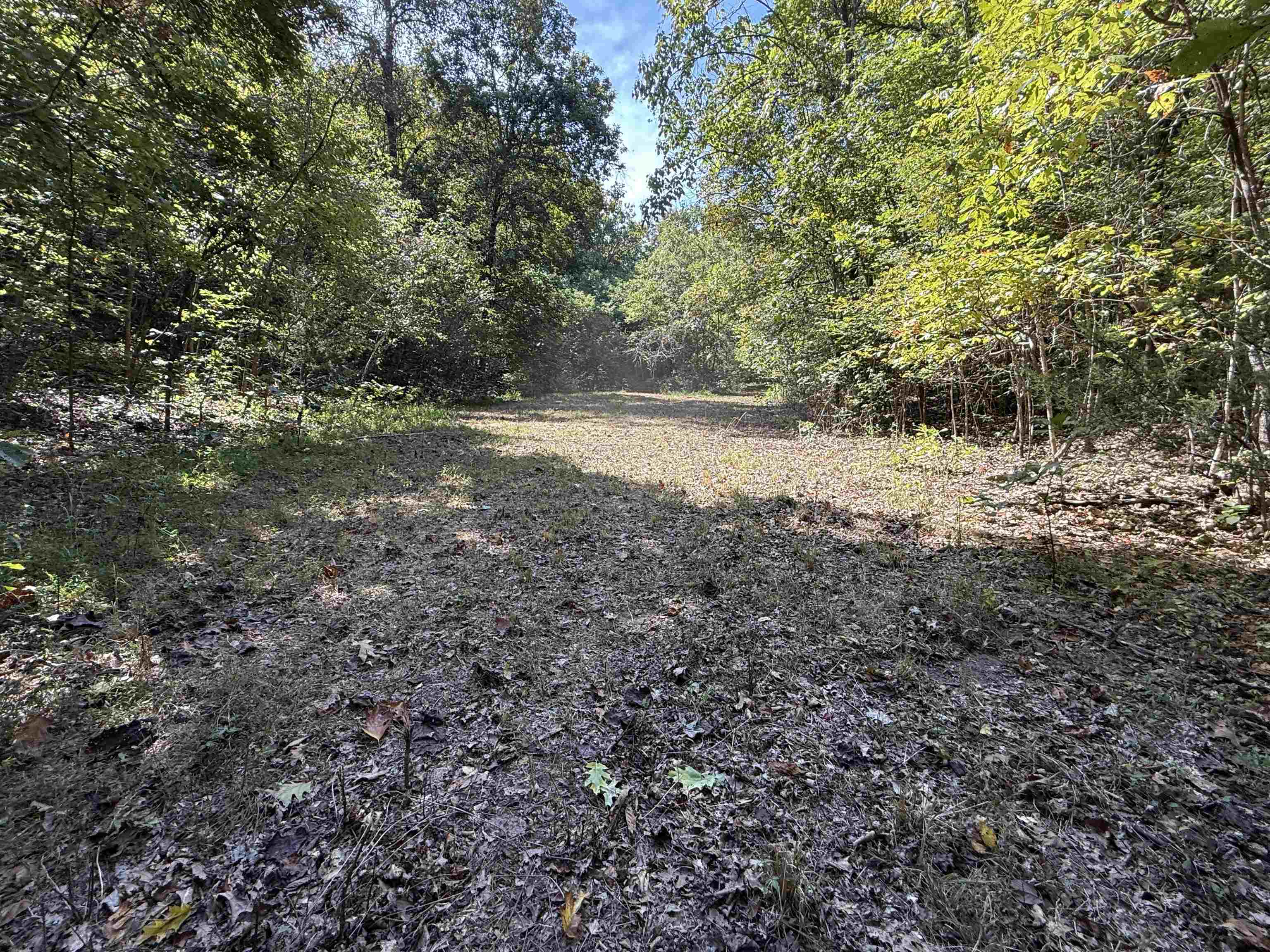 Photo 18 - Vacant Land for sale – 46A  Lafferty Road   Mount Pleasant, AR