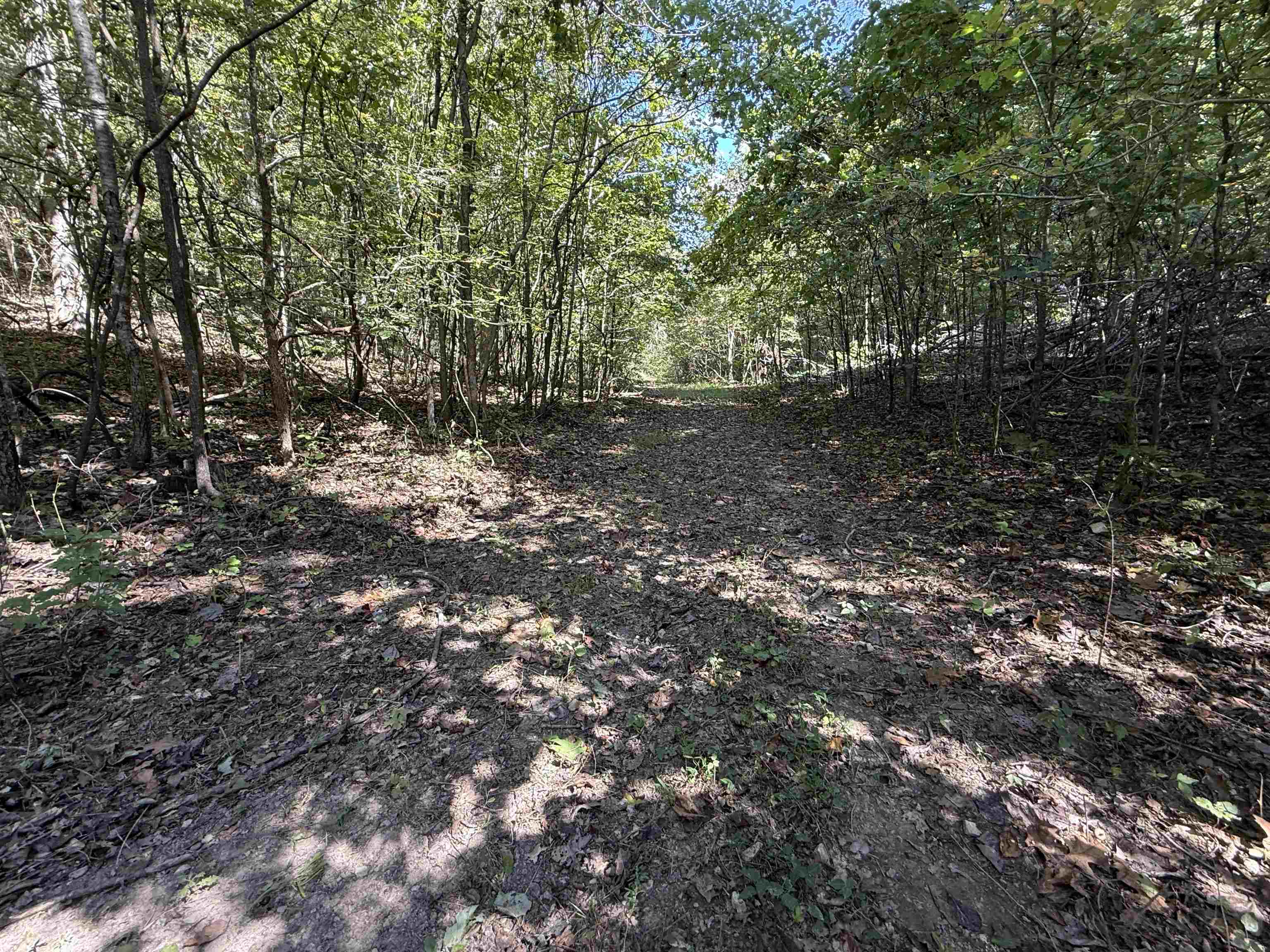 Photo 19 - Vacant Land for sale – 68A  Lafferty Road   Mount Pleasant, AR