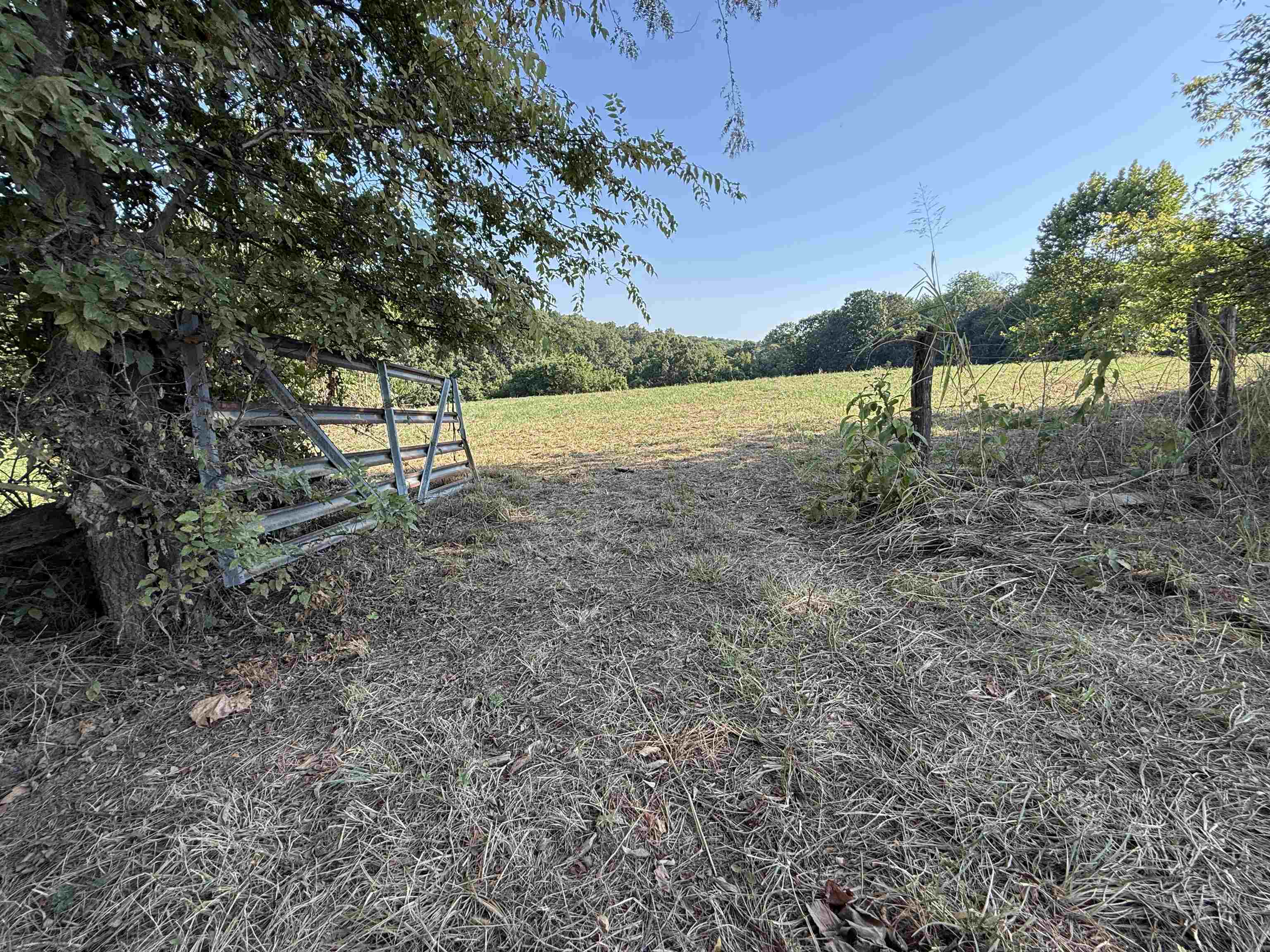 Photo 3 - Vacant Land for sale – 46A  Lafferty Road   Mount Pleasant, AR