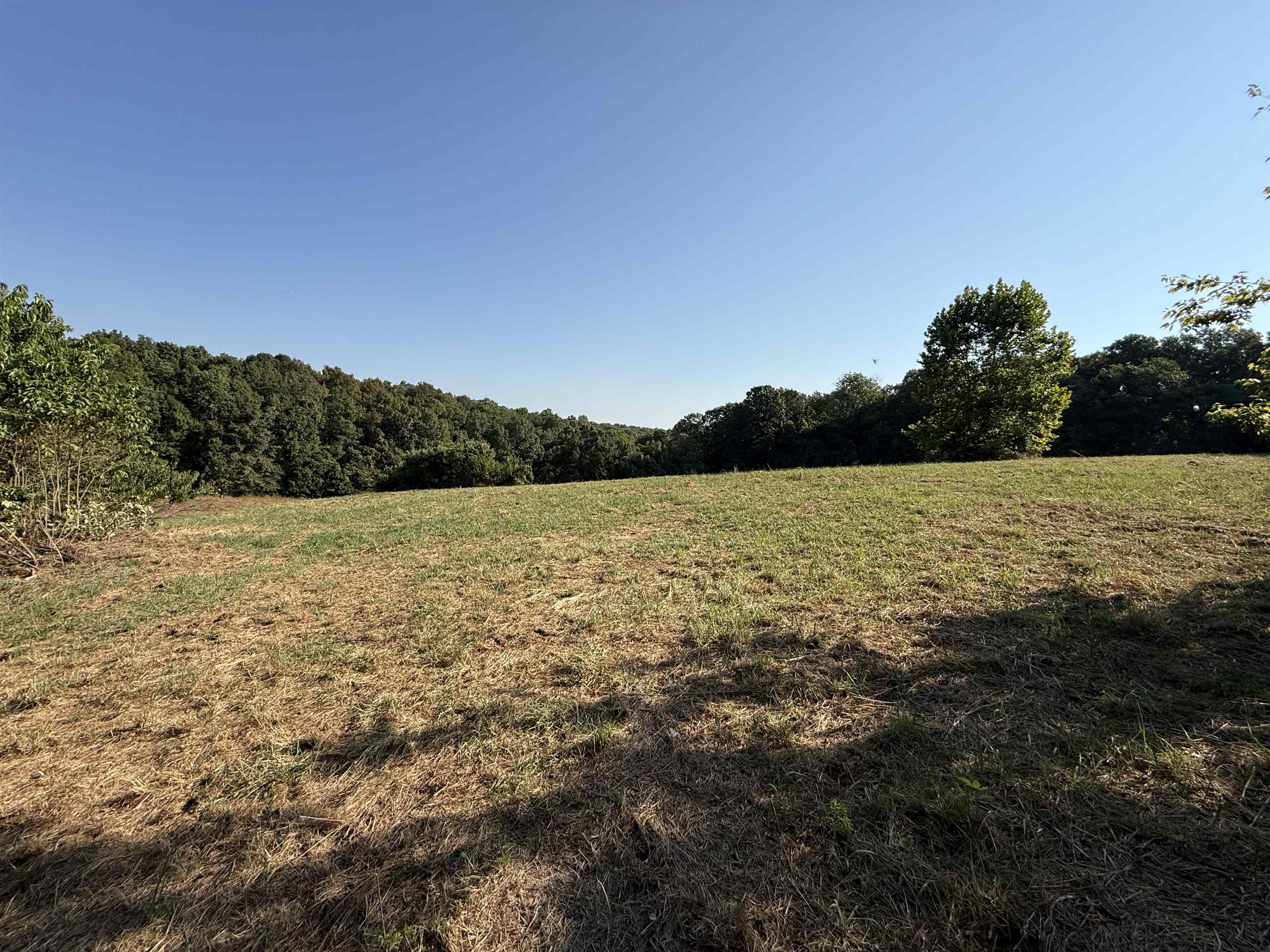 Photo 4 - Vacant Land for sale – 68A  Lafferty Road   Mount Pleasant, AR