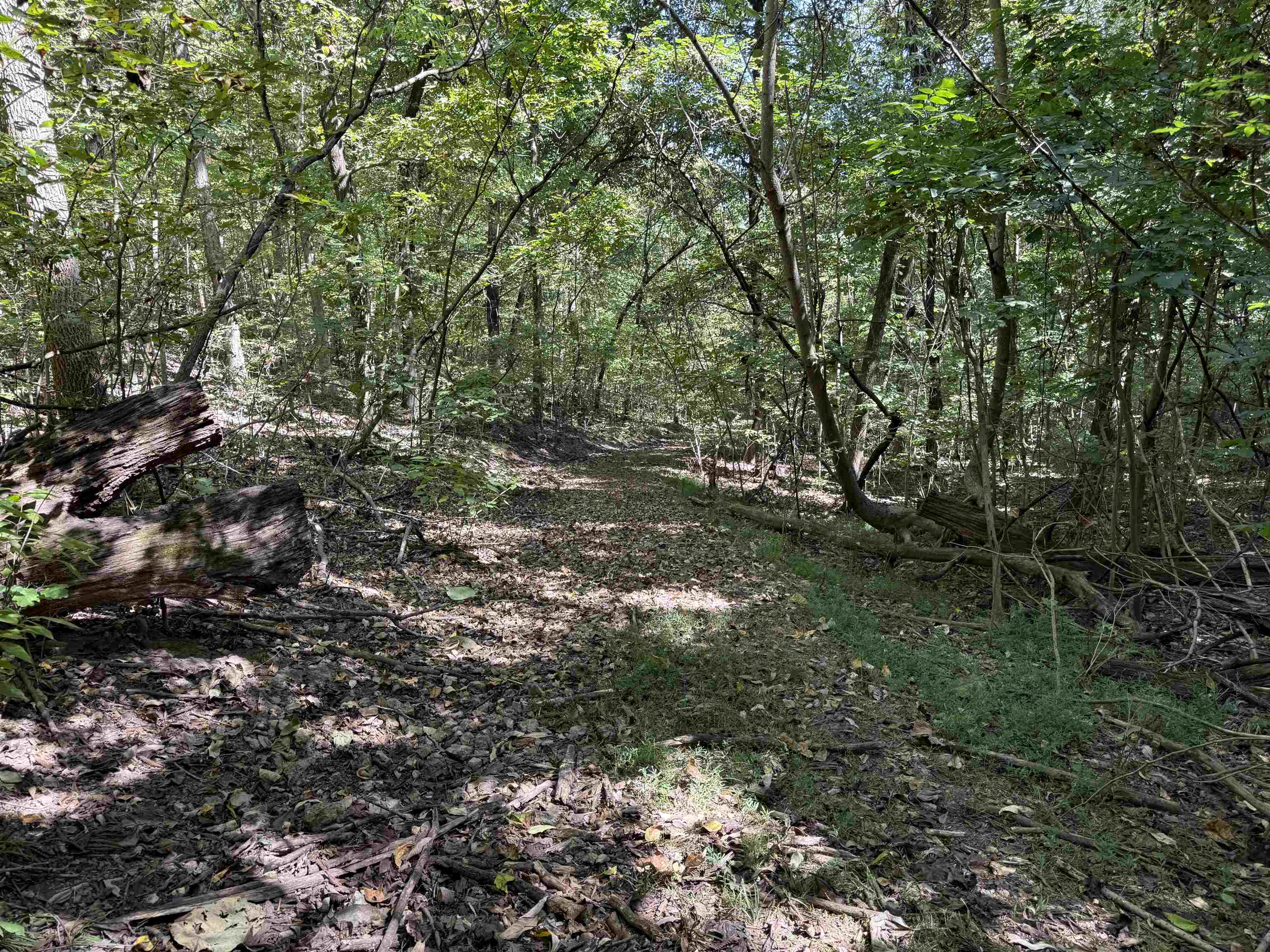 Photo 5 - Vacant Land for sale – 46A  Lafferty Road   Mount Pleasant, AR