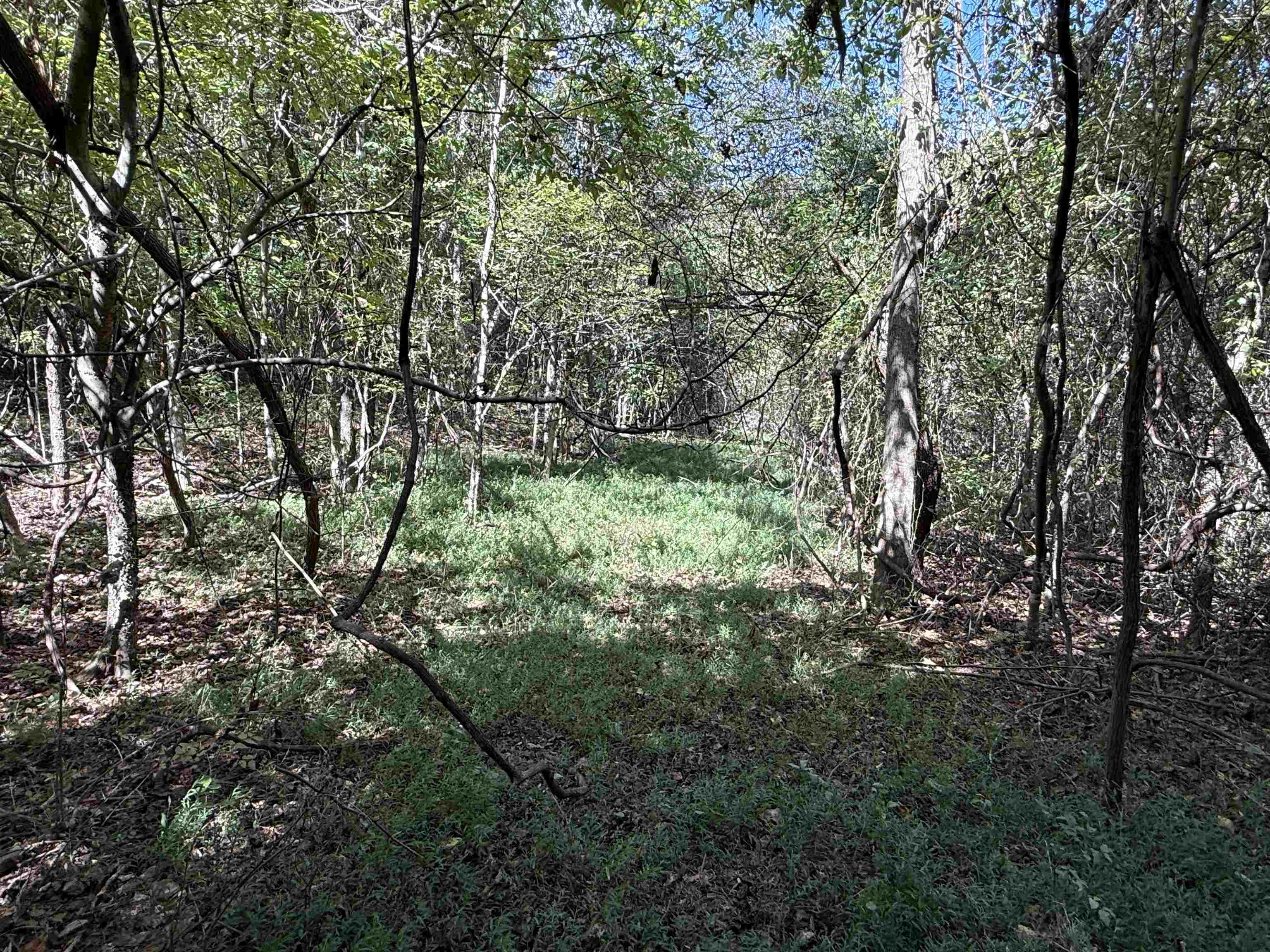 Photo 7 - Vacant Land for sale – 68A  Lafferty Road   Mount Pleasant, AR