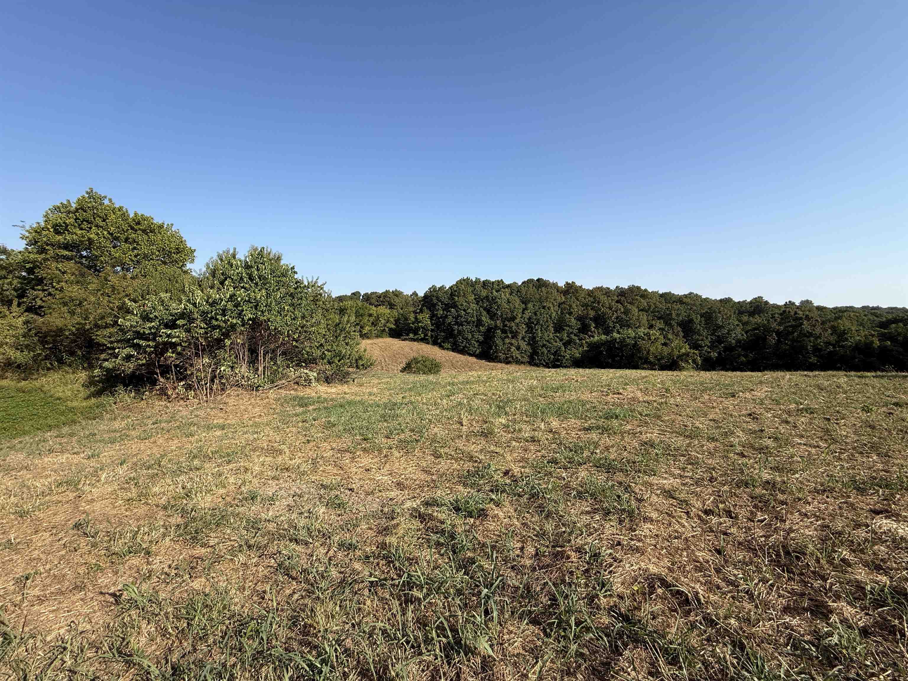 Photo 8 - Vacant Land for sale – 46A  Lafferty Road   Mount Pleasant, AR