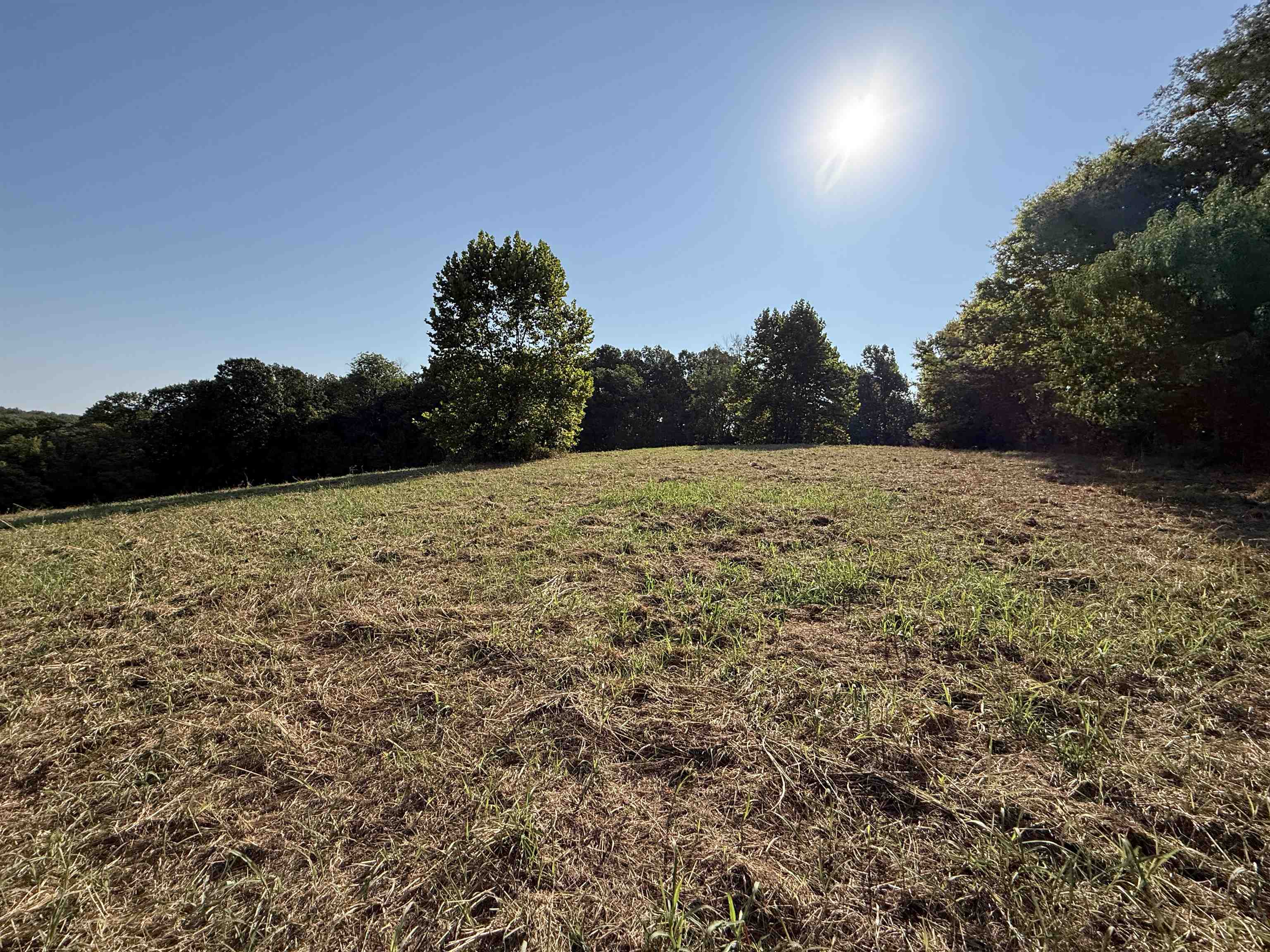 Photo 9 - Vacant Land for sale – 68A  Lafferty Road   Mount Pleasant, AR