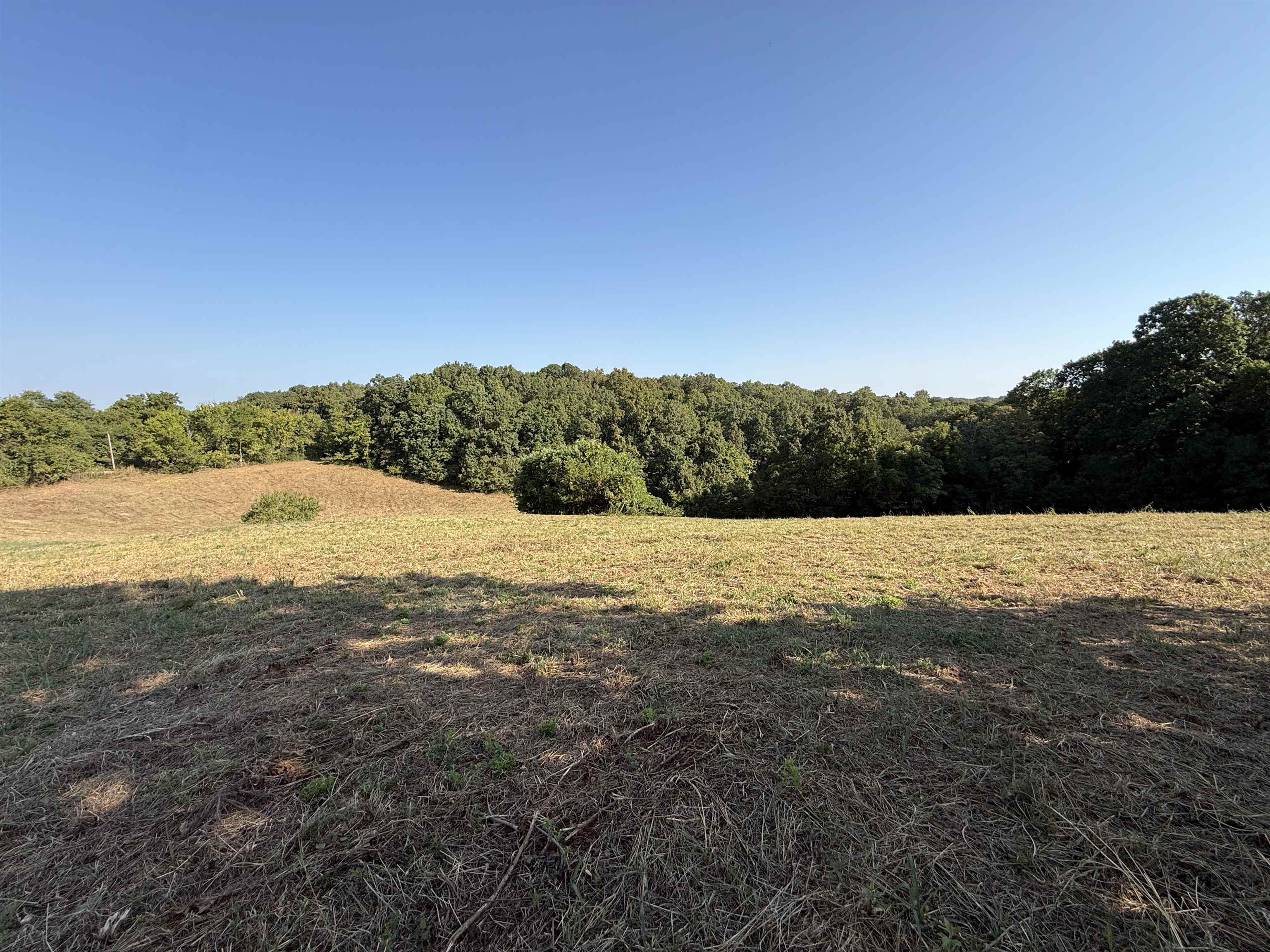 Photo 10 - Vacant Land for sale – 46A  Lafferty Road   Mount Pleasant, AR