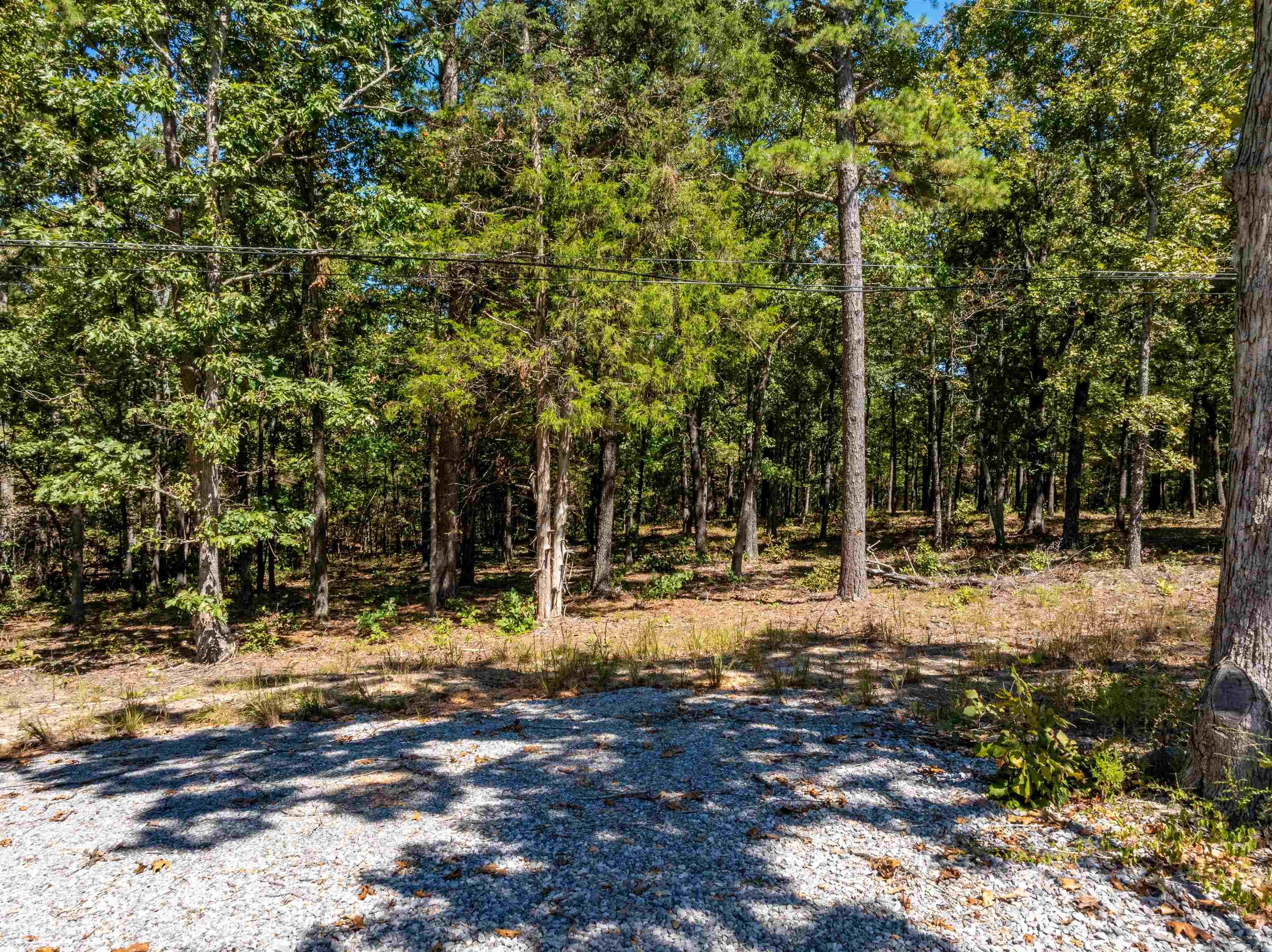 Photo 13 - Vacant Land for sale –   Silver Springs Rd   Evening Shade, AR