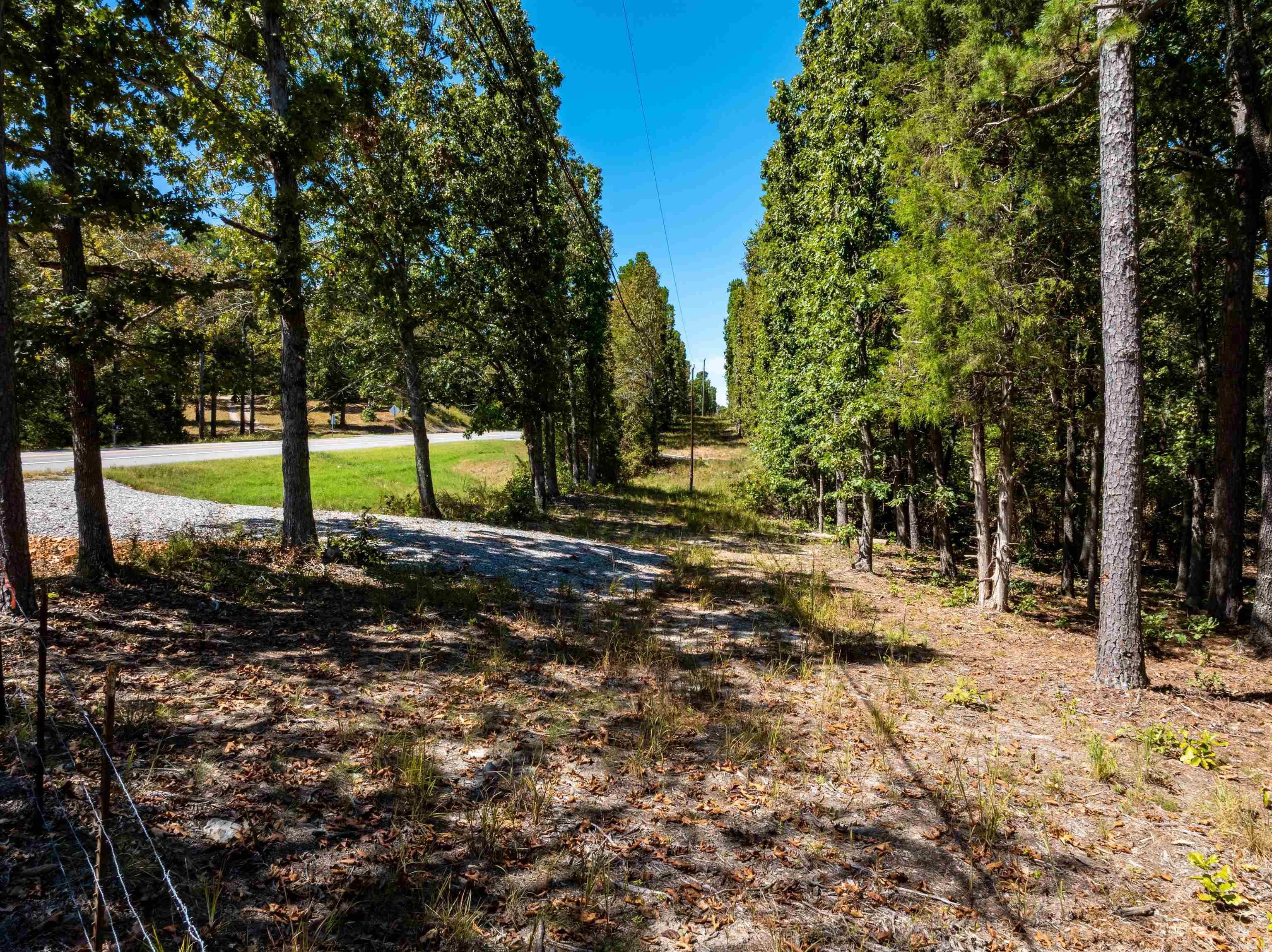 Photo 14 - Vacant Land for sale –   Silver Springs Rd   Evening Shade, AR