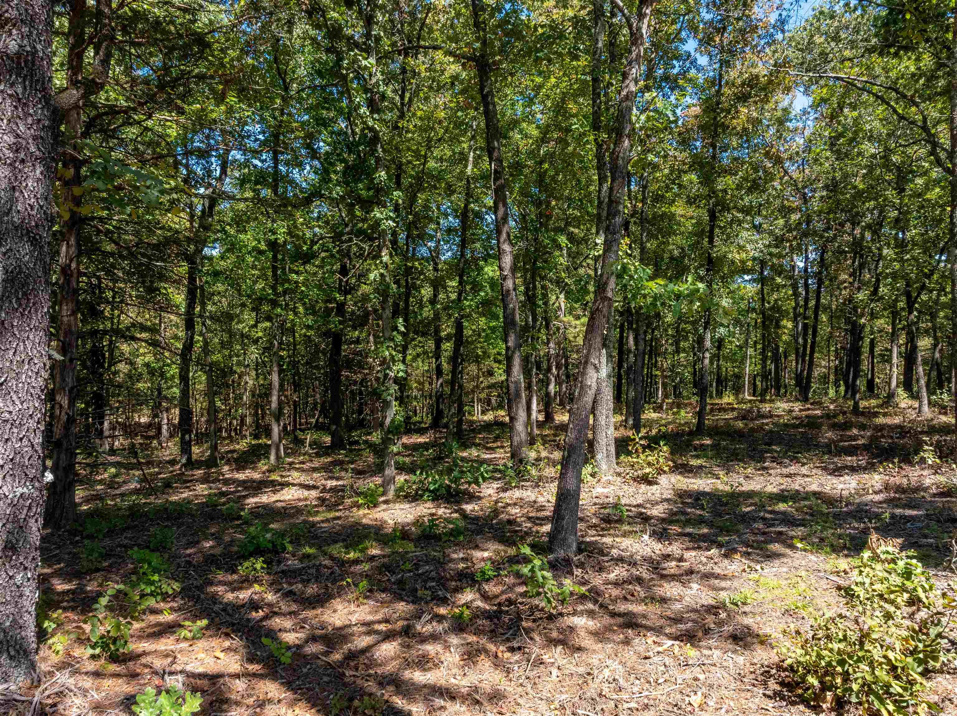 Photo 5 - Vacant Land for sale –   Silver Springs Rd   Evening Shade, AR