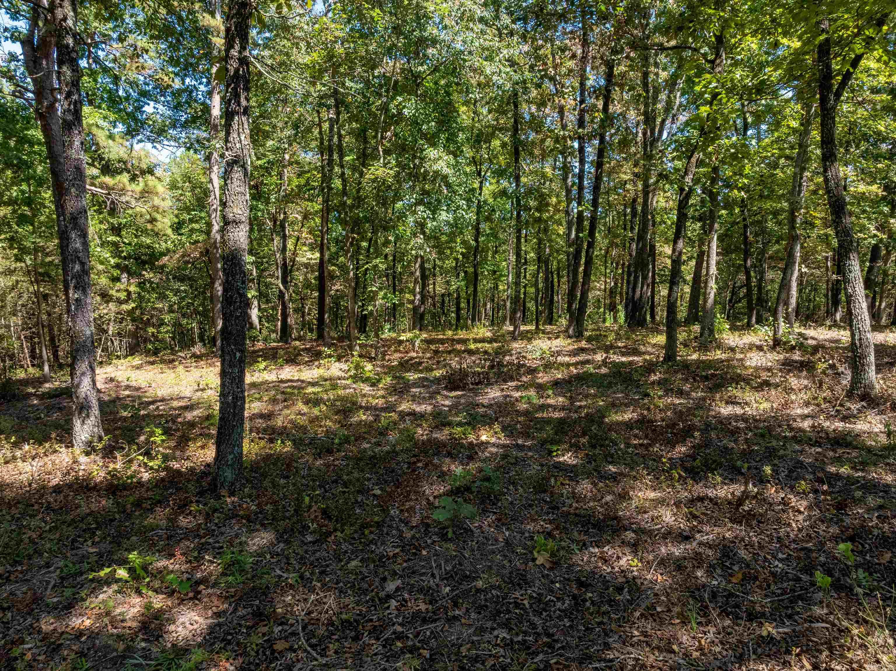 Photo 6 - Vacant Land for sale –   Silver Springs Rd   Evening Shade, AR
