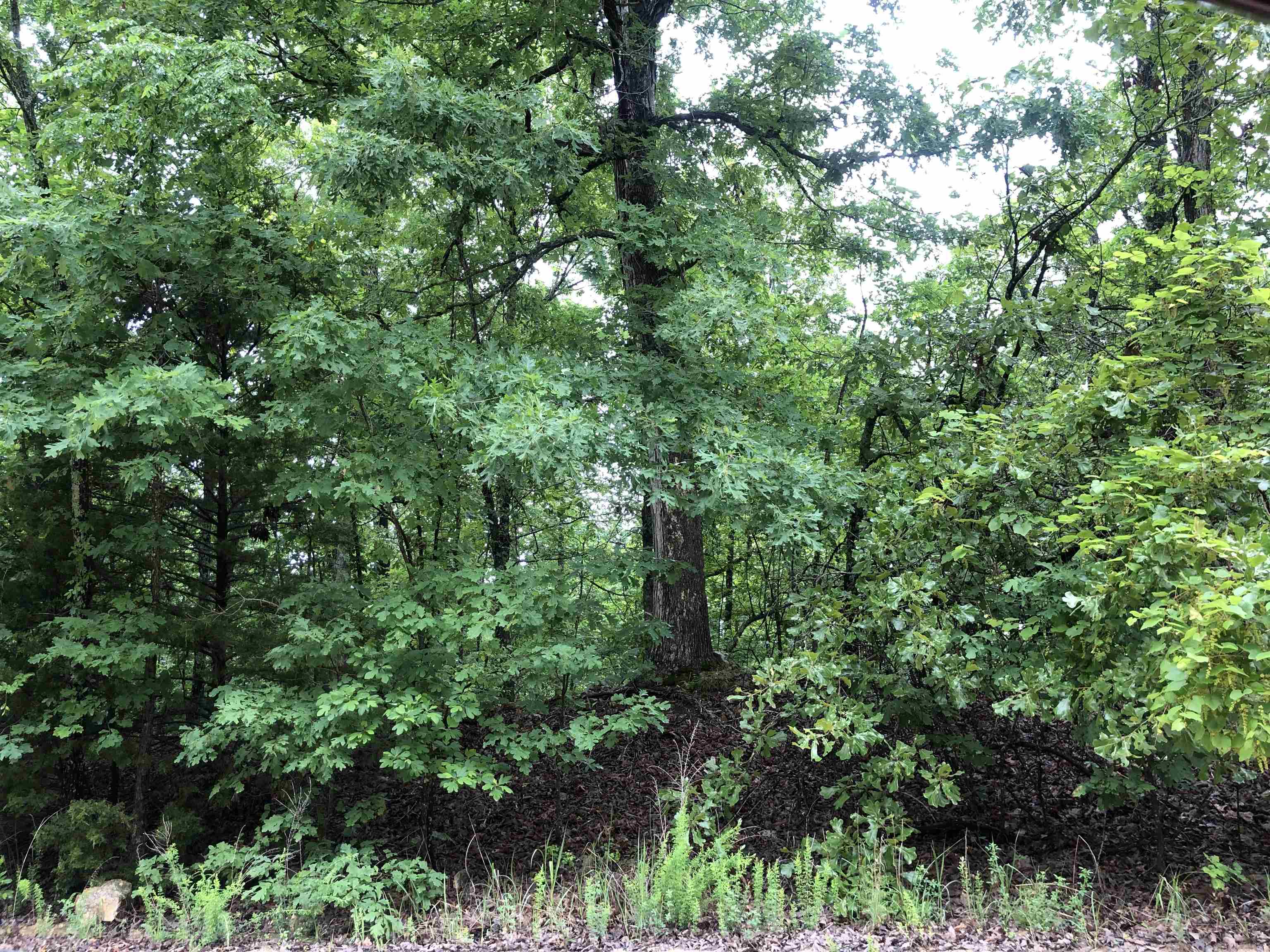 Vacant Land for sale –   Boanna   Cherokee Village, AR