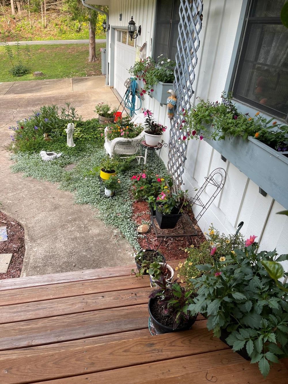 Photo 38 - Residential for sale – 37  Keno   Cherokee Village, AR