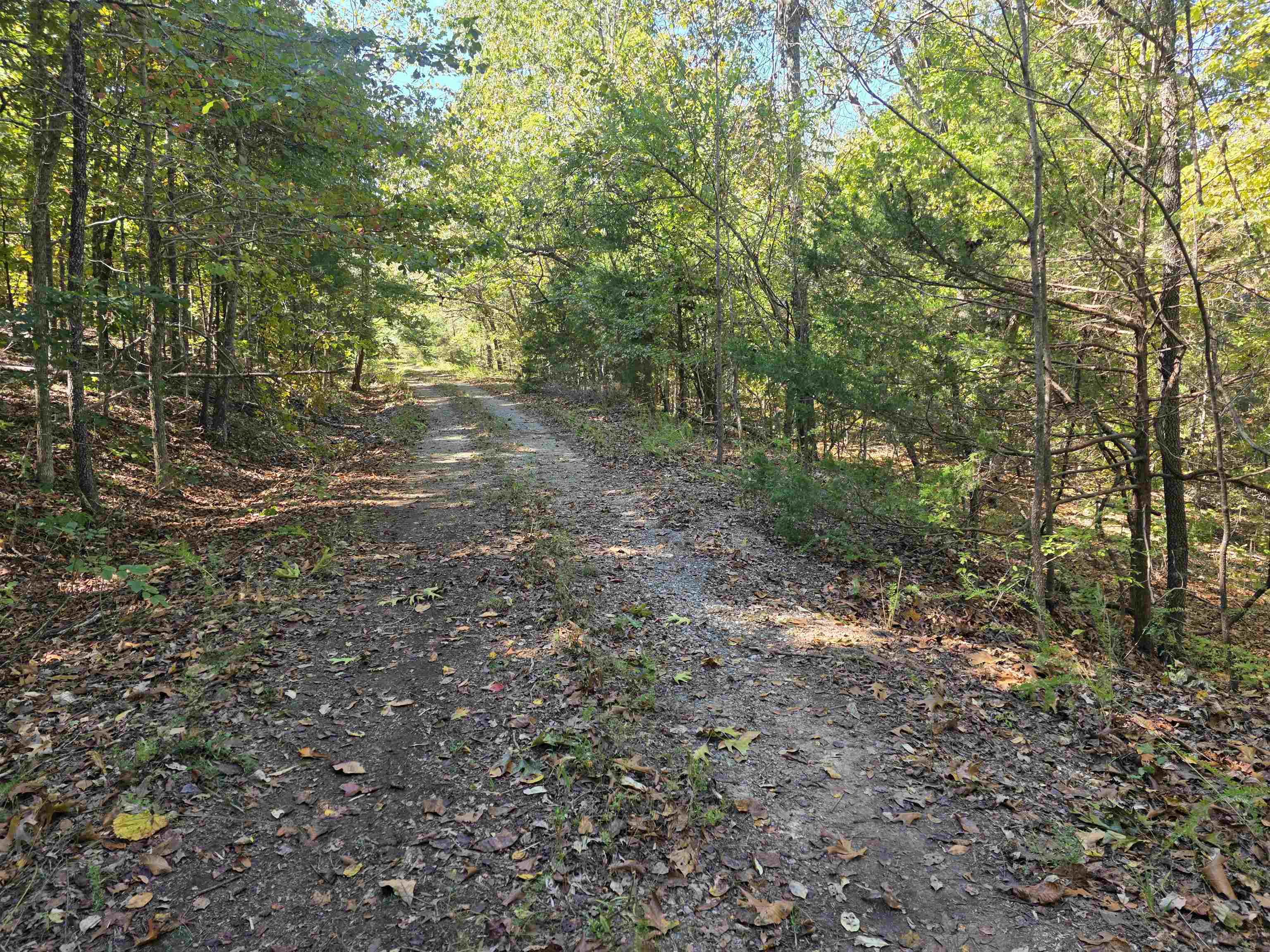 Vacant Land for sale – L10B4  Clatsop   Cherokee Village, AR