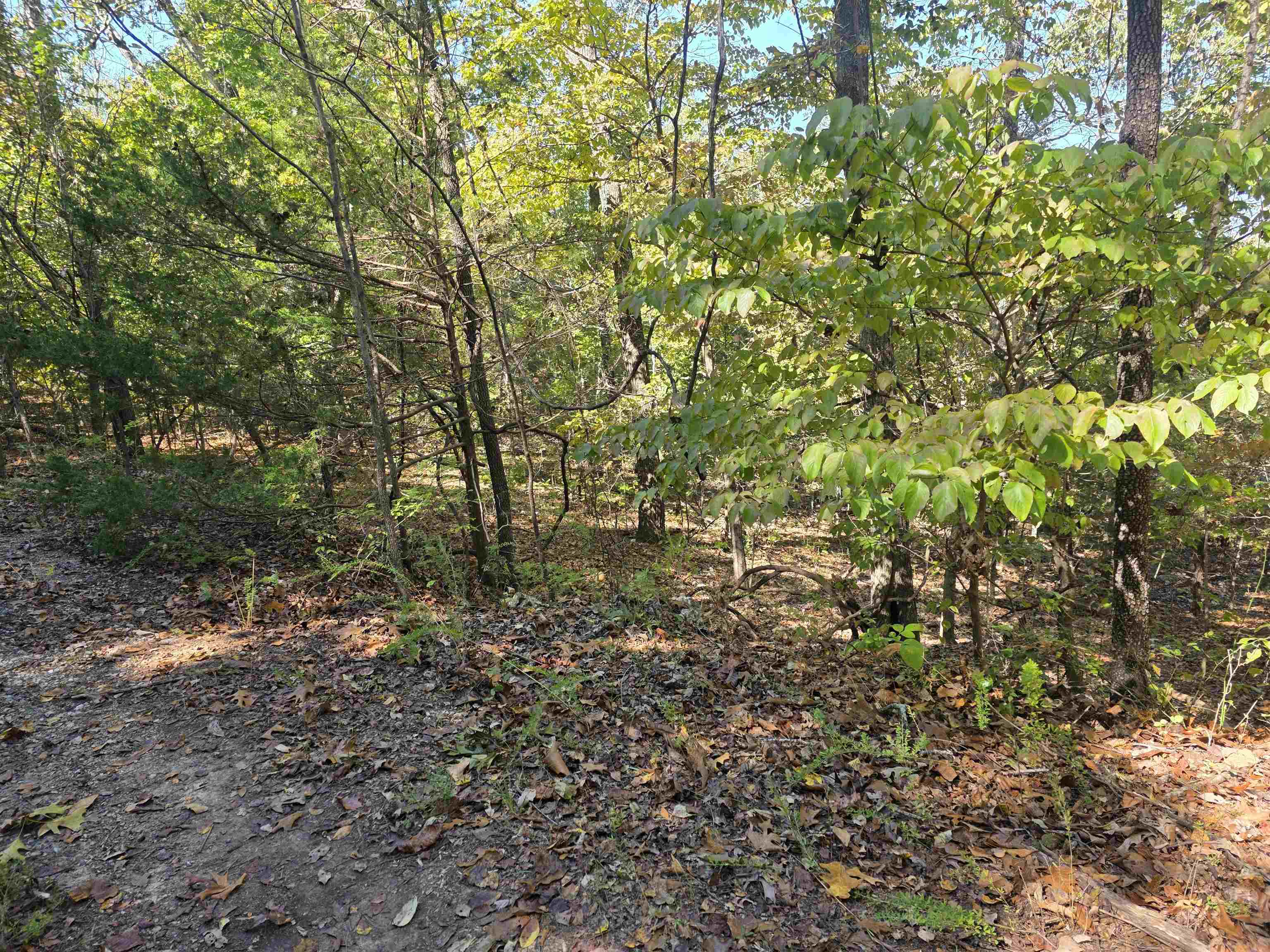 Photo 2 - Vacant Land for sale – L10B4  Clatsop   Cherokee Village, AR